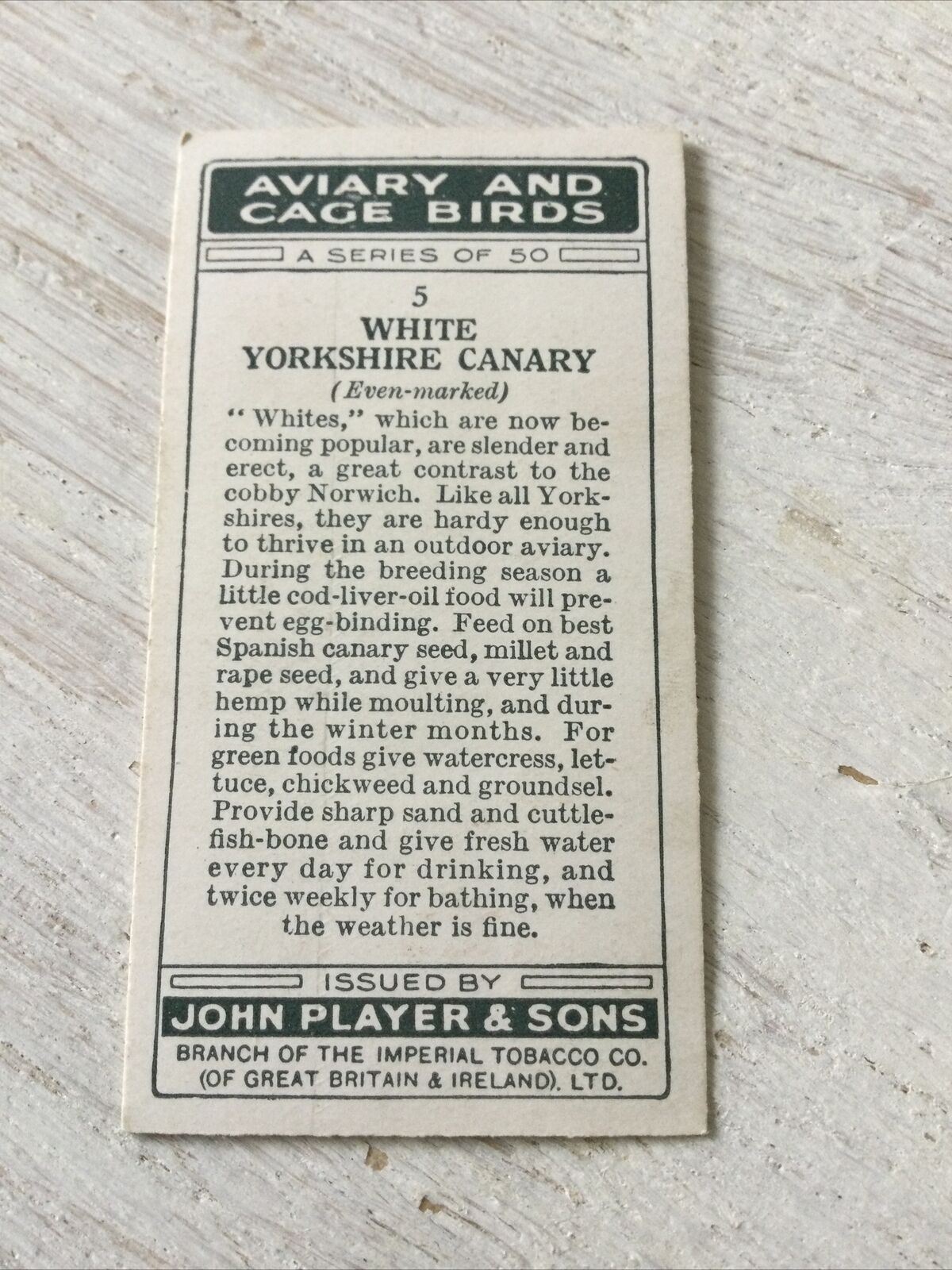 Players Cigarette Card Aviary & Cage Birds 5 White Yorkshire Canary Vintage 1933