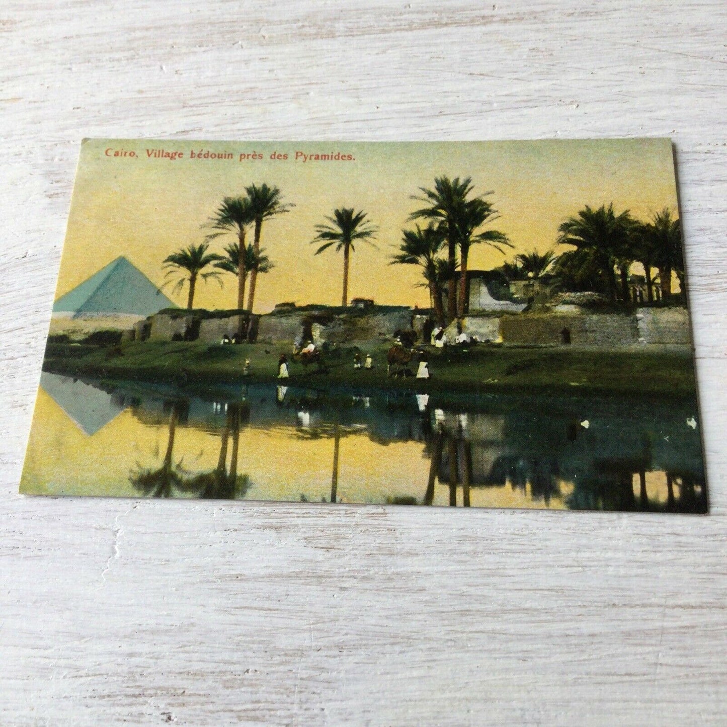 Vintage Tinted Postcard - Cairo EGYPT - Bedouin Village Near The Pyramids - River Nile, Palm Trees.