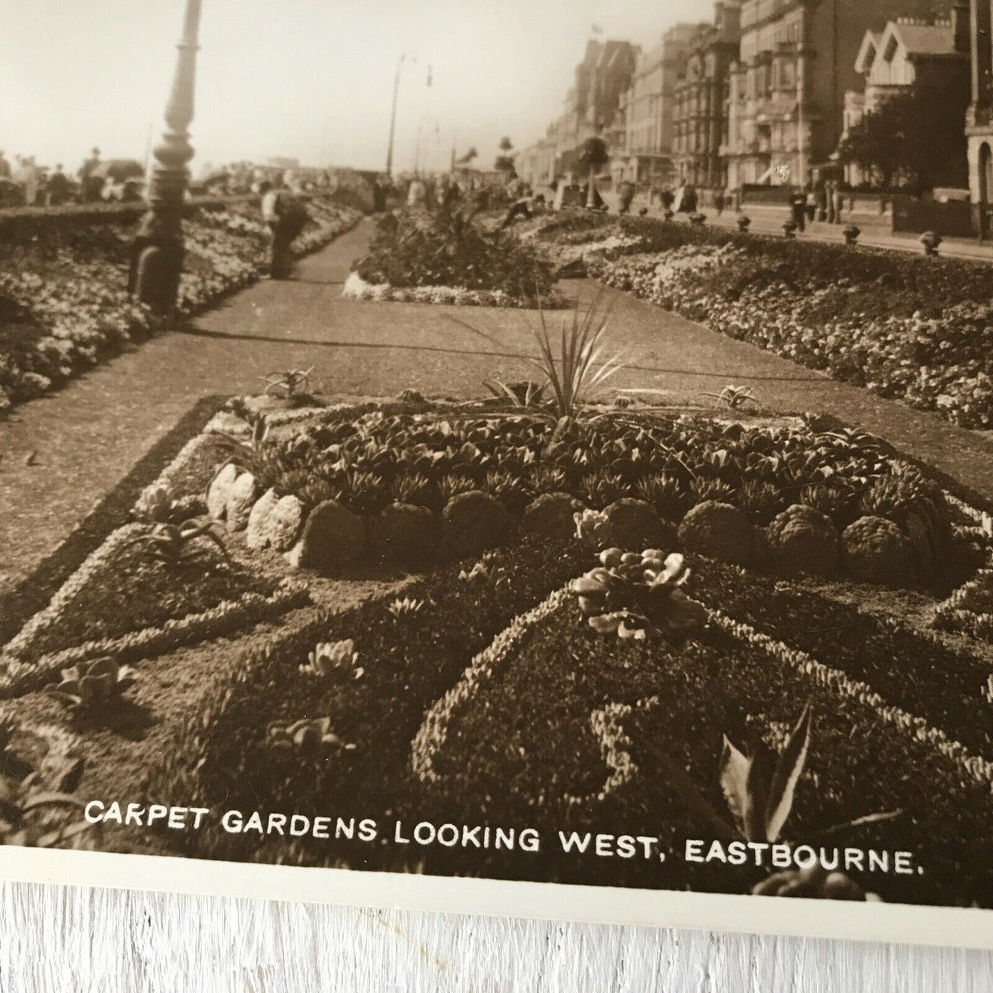 Vintage Sepia Postcard Eastbourne Carpet Gardens RP Promenade
