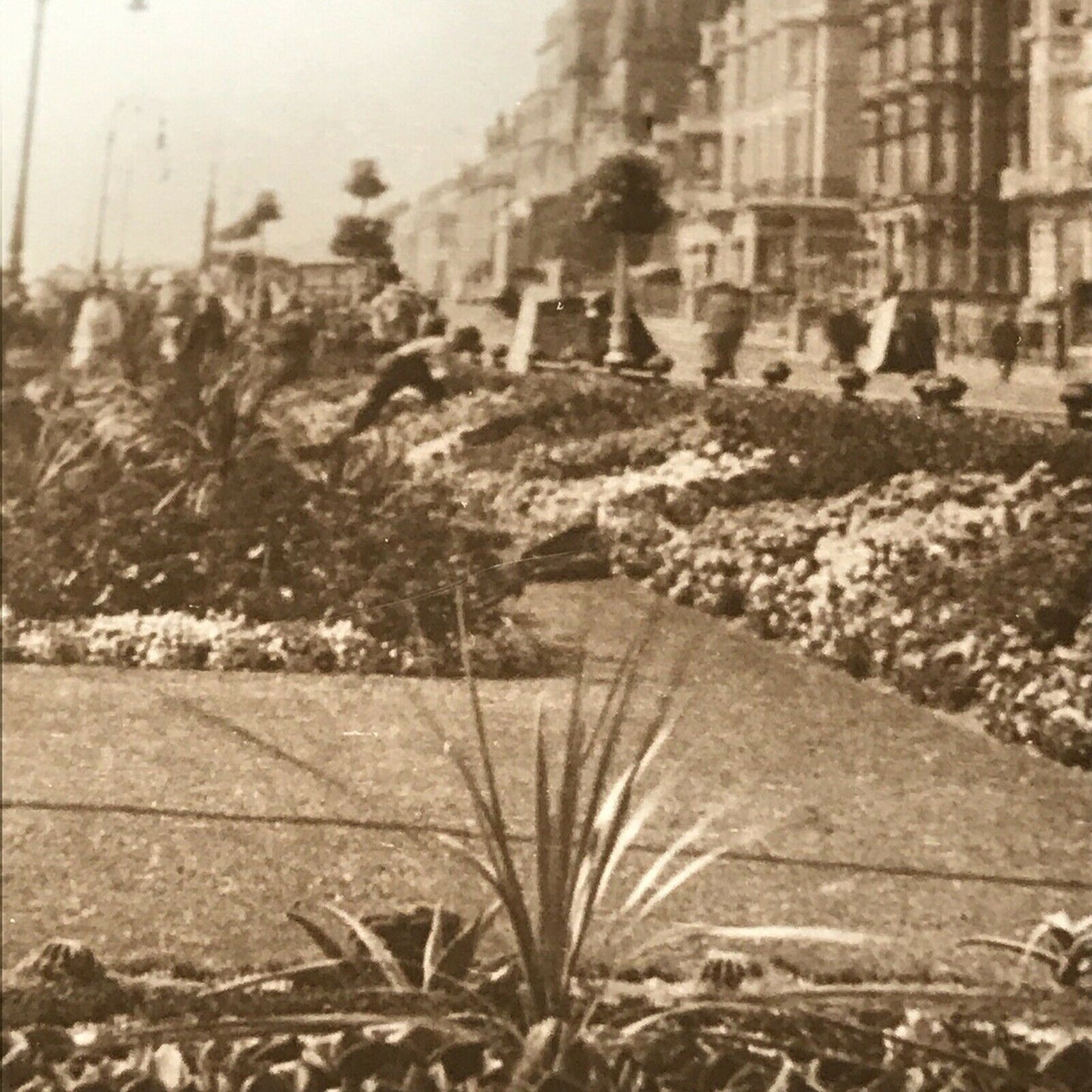 Vintage Sepia Postcard Eastbourne Carpet Gardens RP Promenade