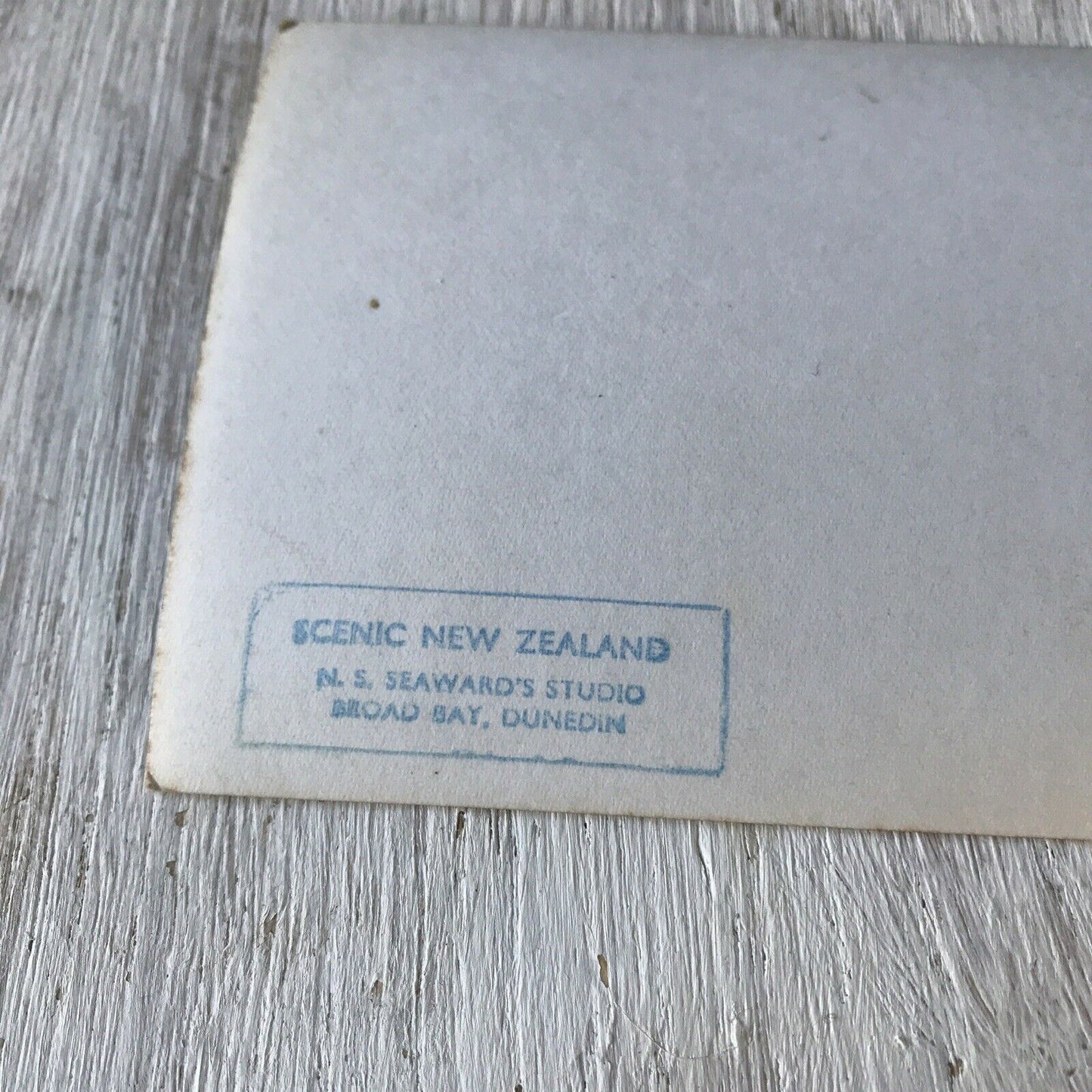 Vintage Postcard Springtime At Glenfalloch Dunedin New Zealand Picturesque