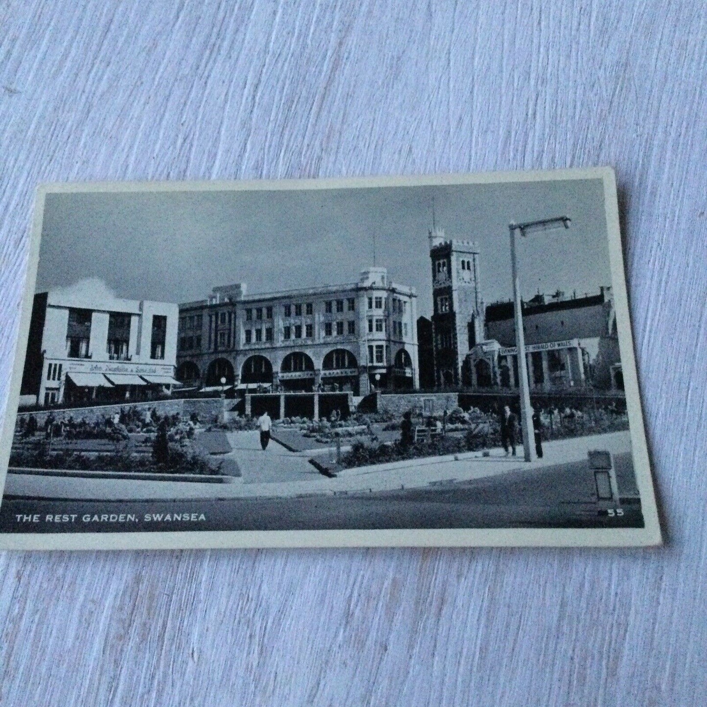 Vintage Postcard The Rest Garden Swansea John Hawkins & Sons Shop