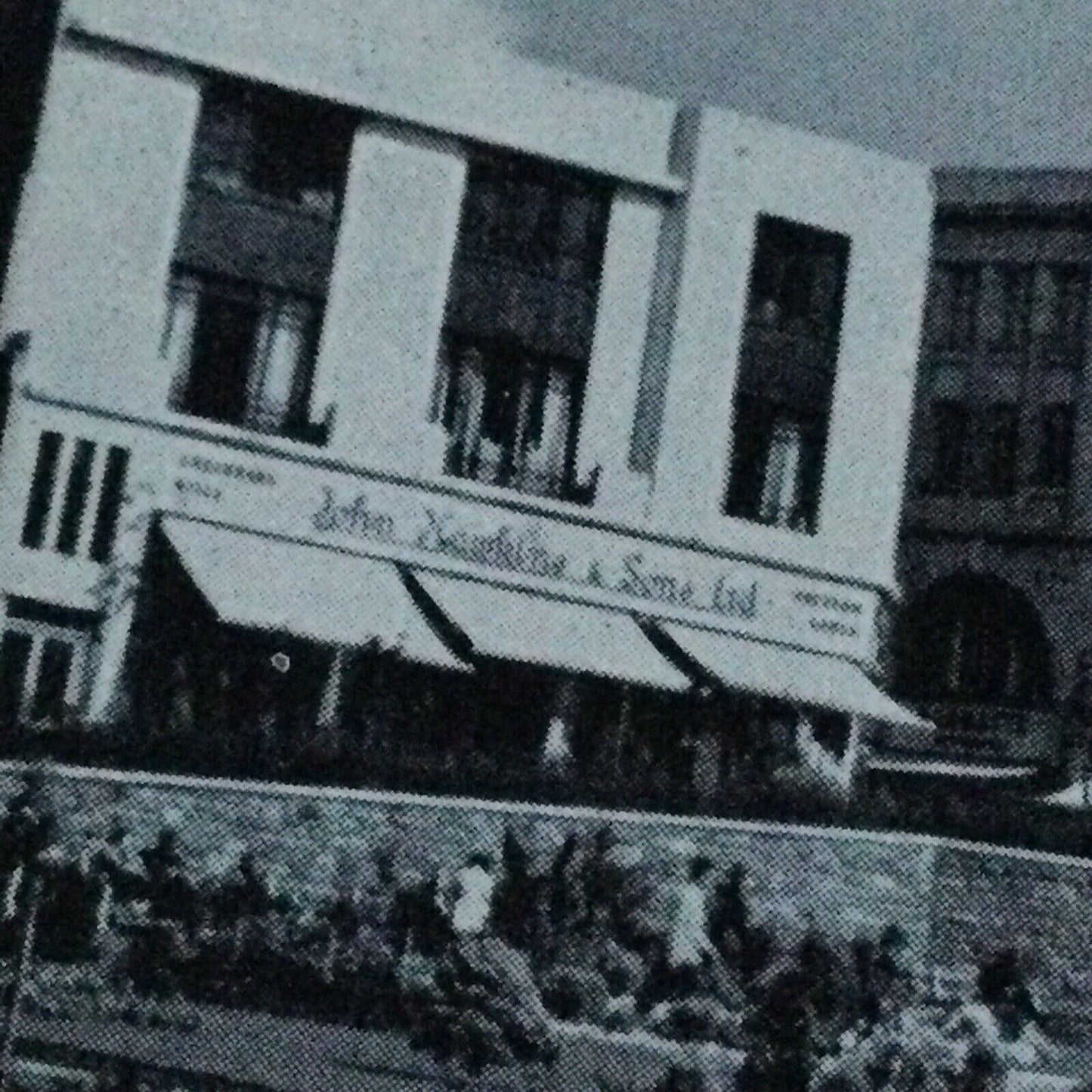 Vintage Postcard The Rest Garden Swansea John Hawkins & Sons Shop
