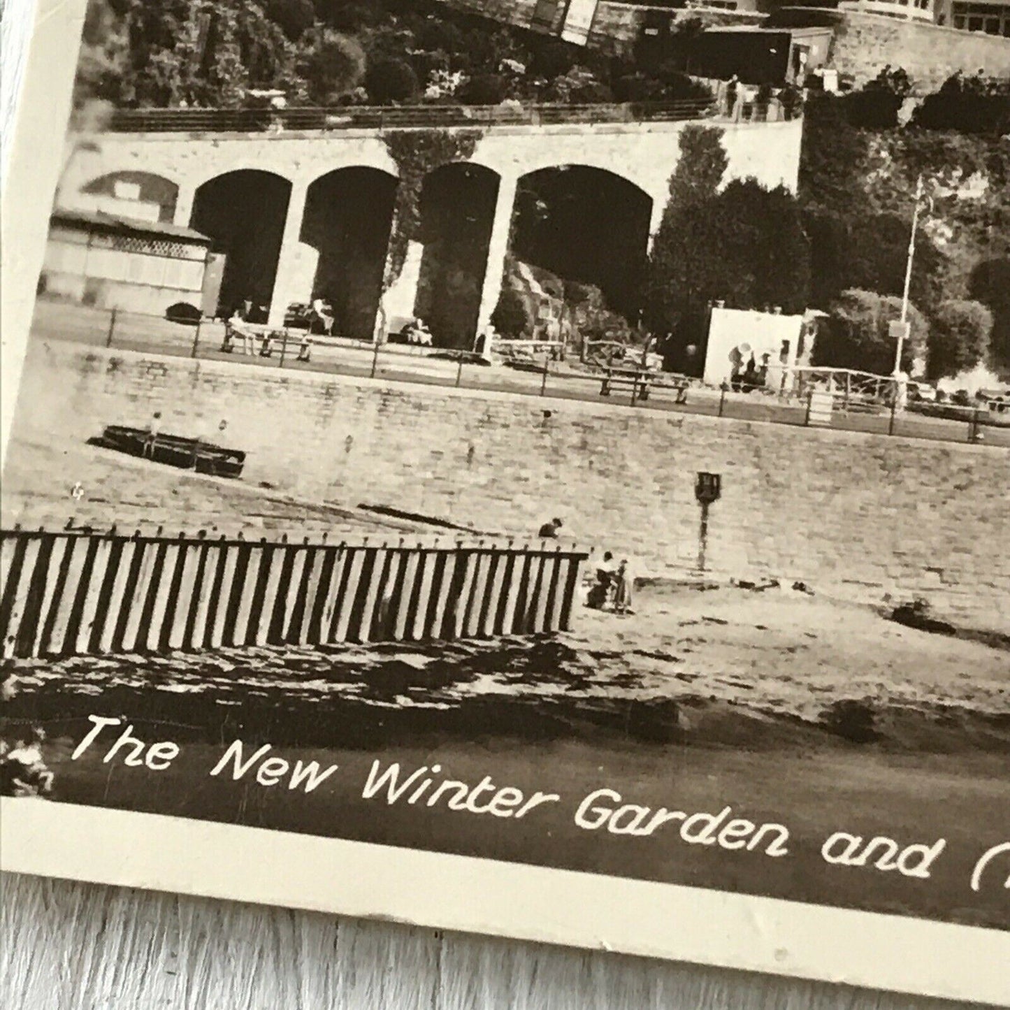 Isle Of Wight Memorabilia - Vintage Postcard - Ventnor Winter Garden - Rosetta Hôtel