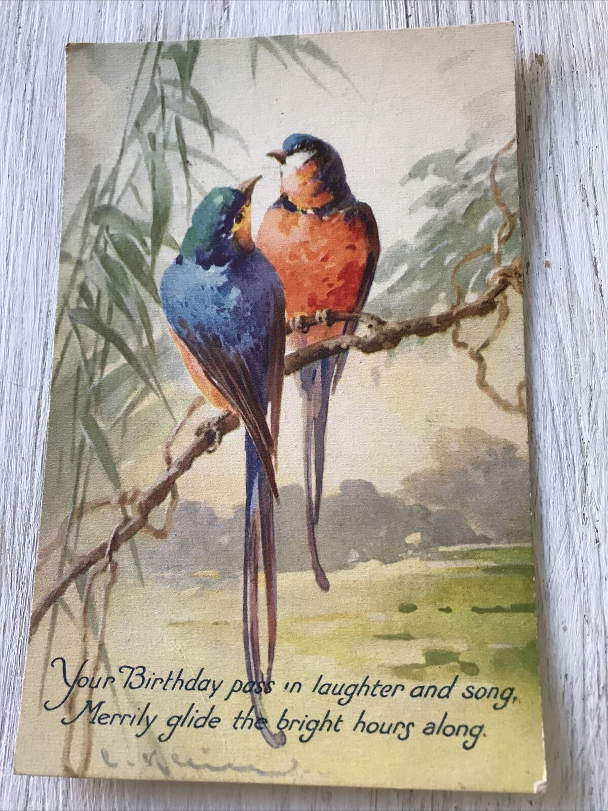Vintage Birthday Greetings Postcard Card Watercolour Print Of Birds Colourful