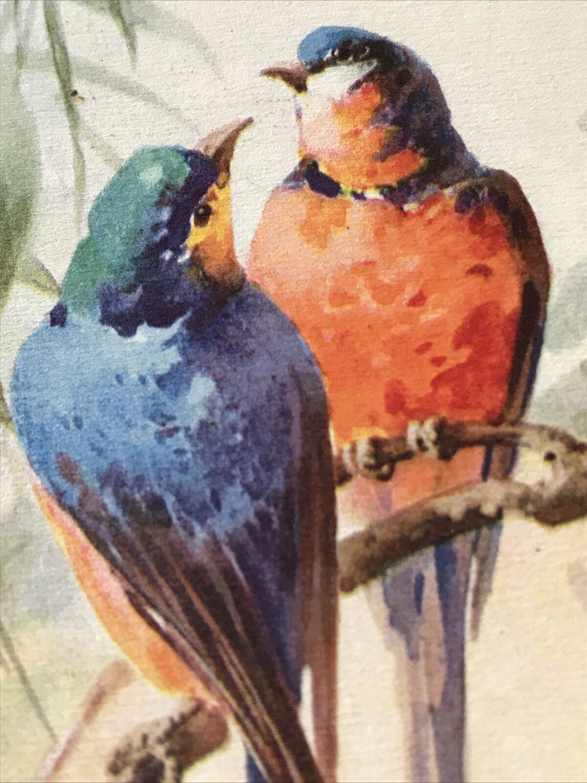 Vintage Birthday Greetings Postcard Card Watercolour Print Of Birds Colourful