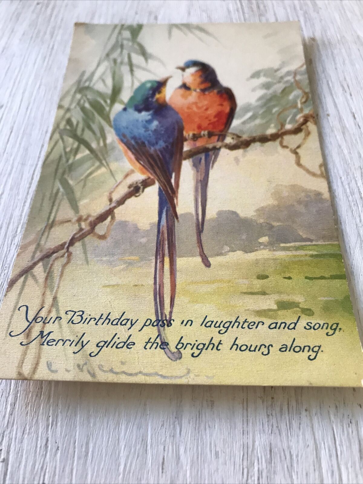 Vintage Birthday Greetings Postcard Card Watercolour Print Of Birds Colourful