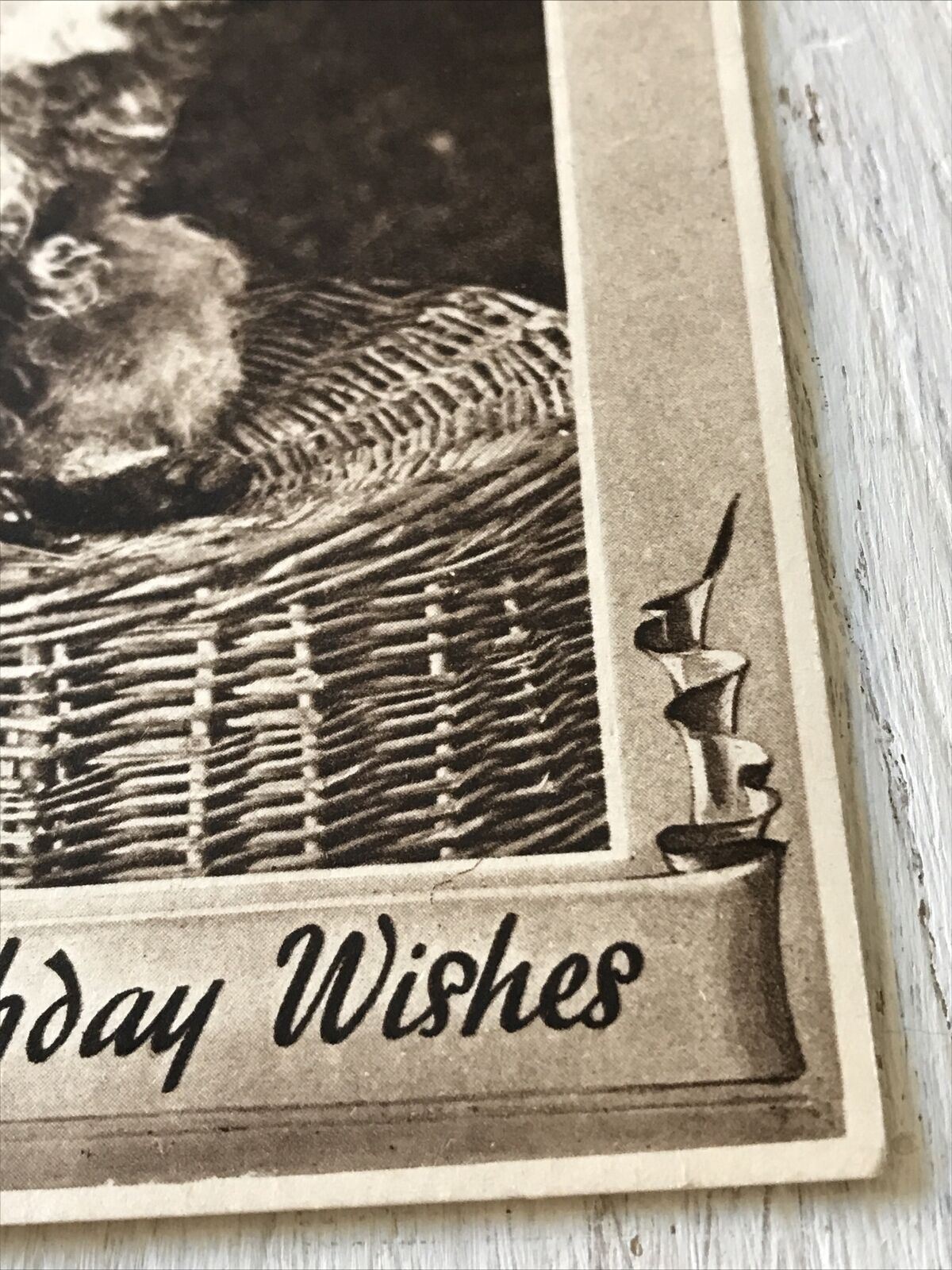 Vintage Birthday Greetings Postcard / Card - Cute Scruffy Dog - With Halo & Naughty Dog Image