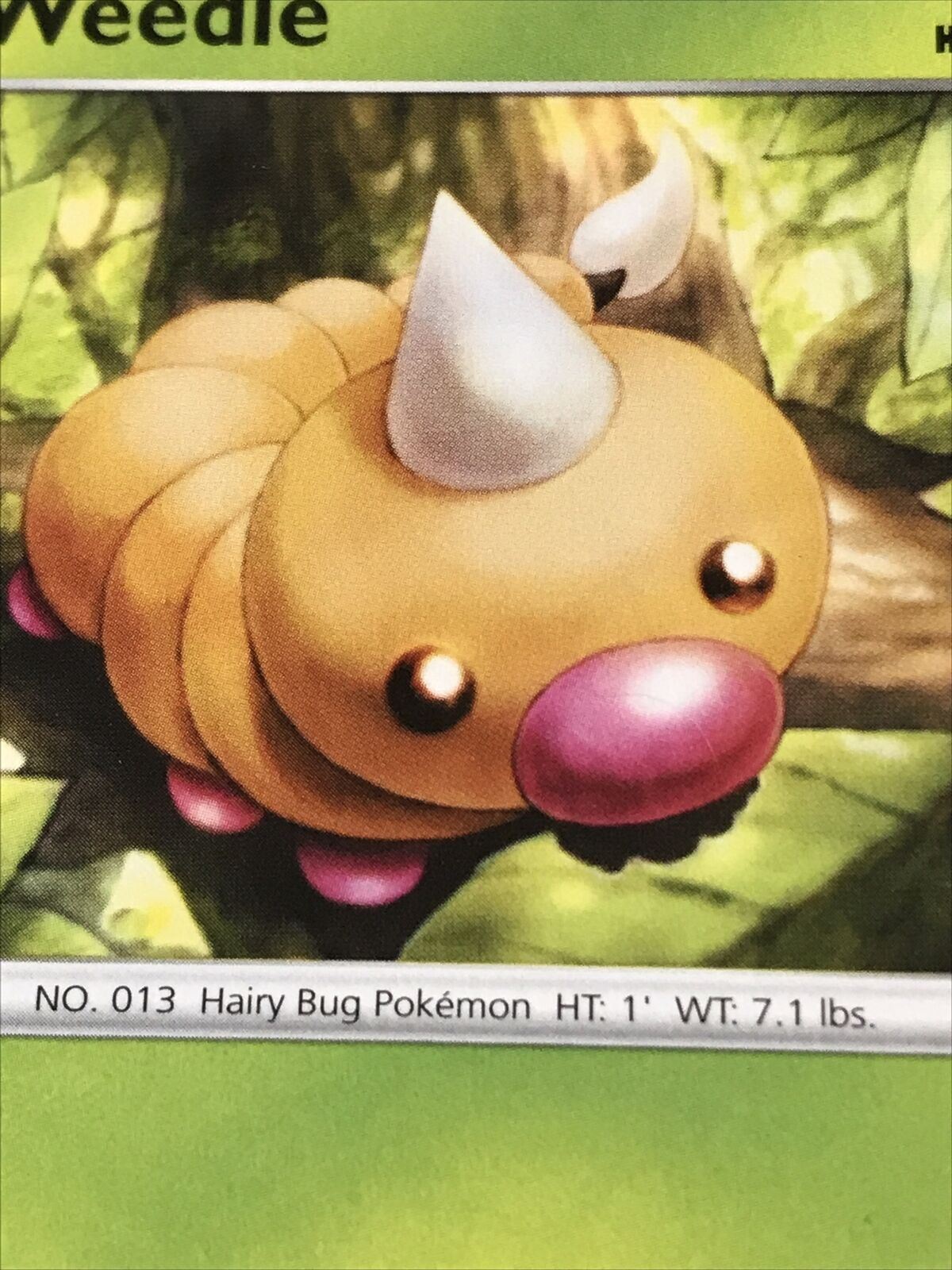Pokemon Card Vivid Voltage Weedle Basic 1/185 Mint Condition