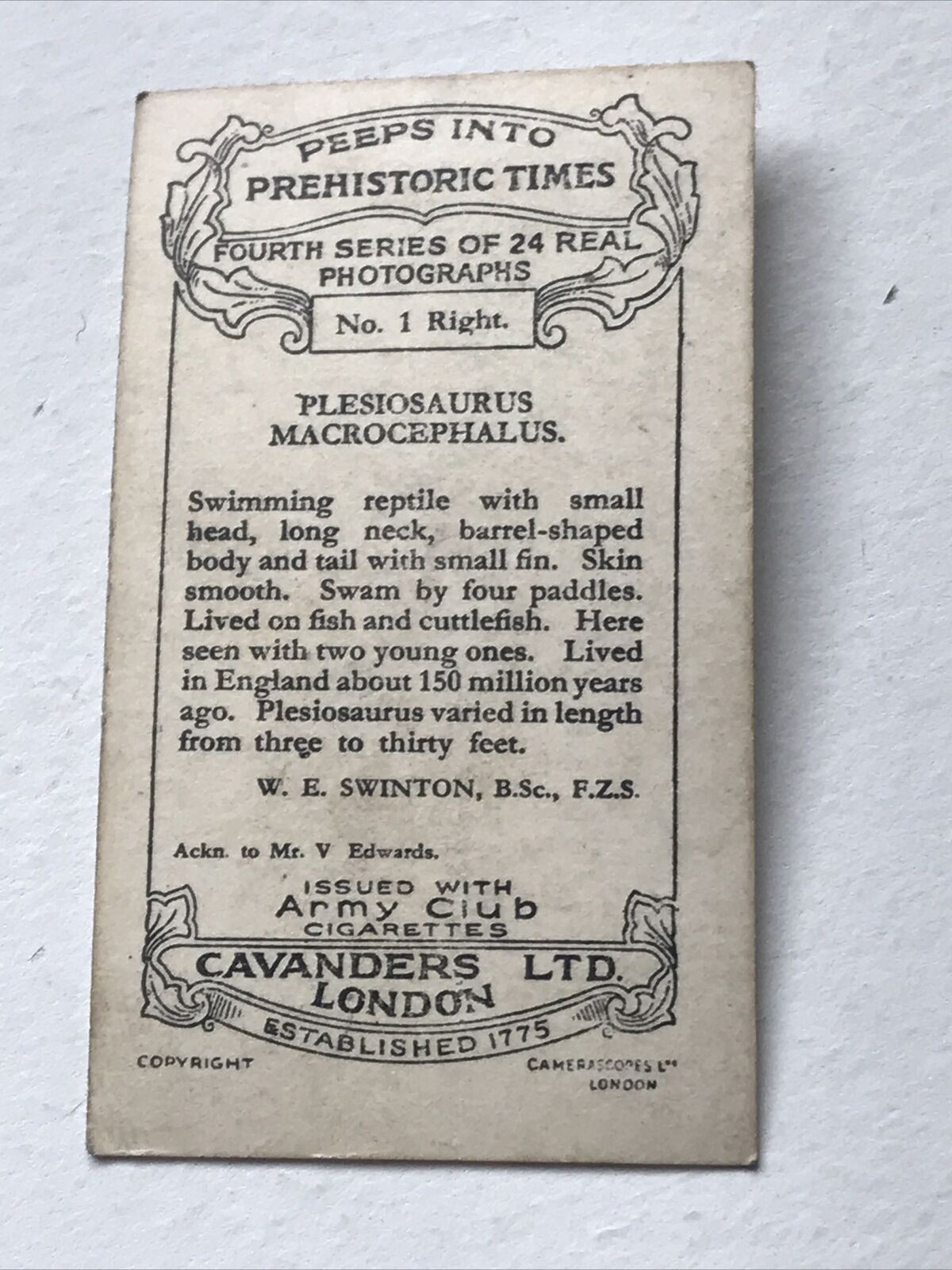PLESIOSAURUS MACROCEPHALUS Photo Cigarette Card. Cavanders 'Peeps Into Prehistoric Times'