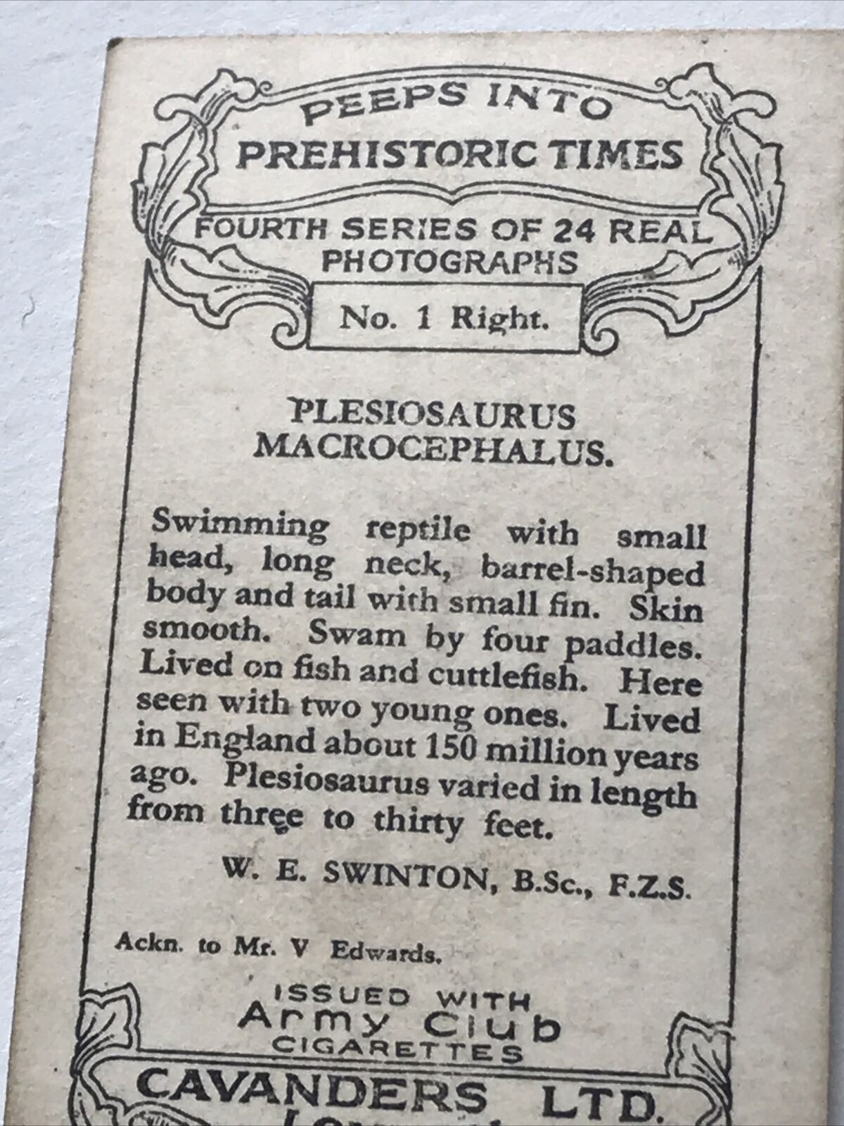 PLESIOSAURUS MACROCEPHALUS Photo Cigarette Card. Cavanders 'Peeps Into Prehistoric Times'