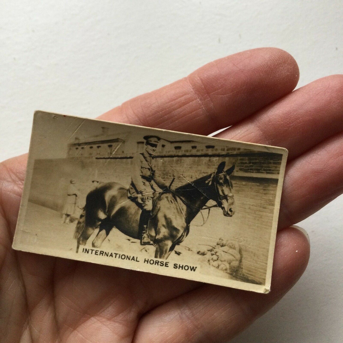 BRONCHO INTERNATIONAL HORSE SHOW Lambert & Butler Cigarette Card World Of Sport