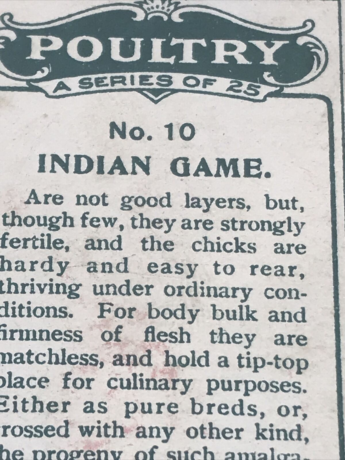INDIAN GAME Ogden’s Cigarette Card, Poultry #10 Hen Cock Fowl Vintage Print