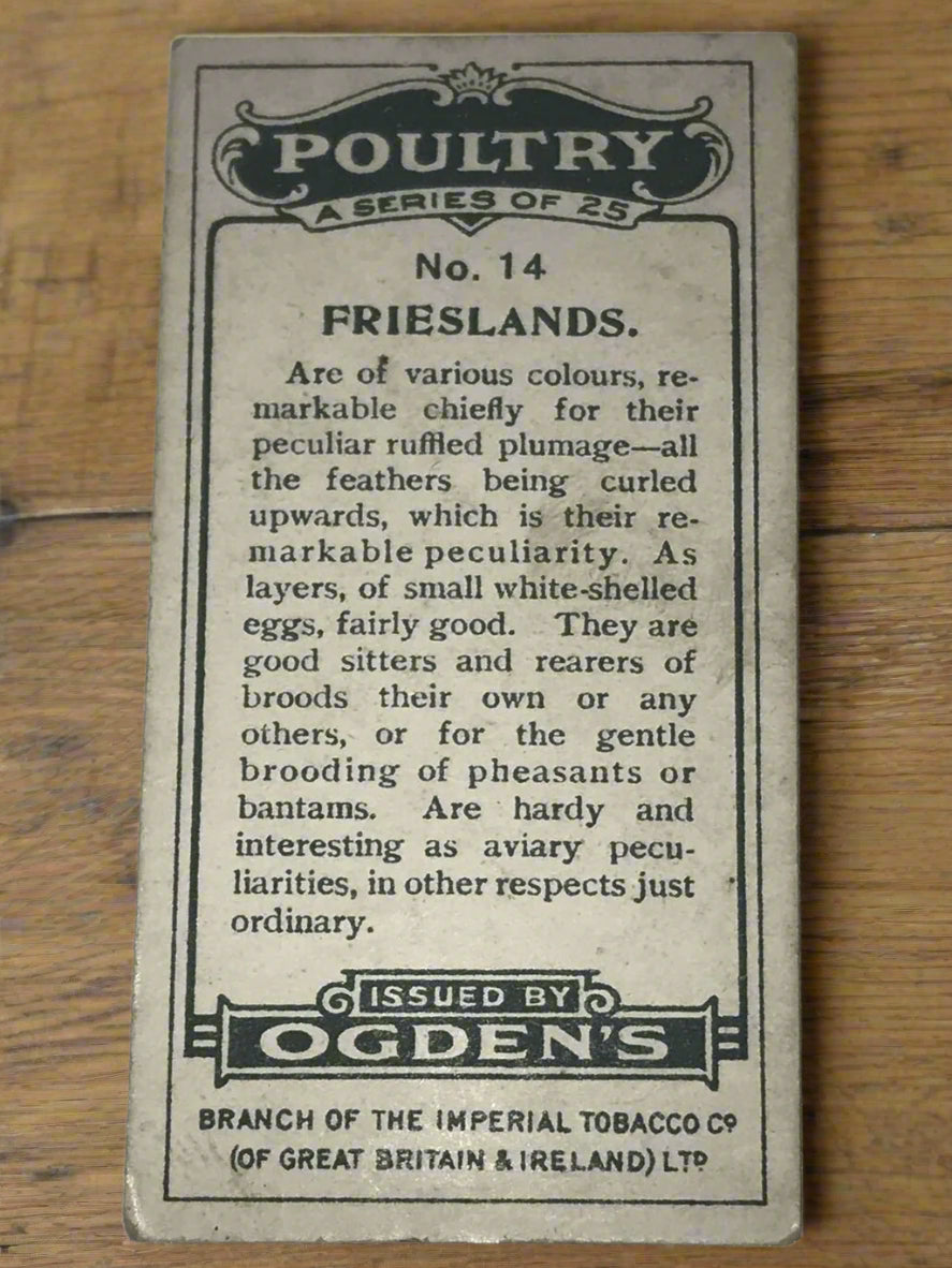 Ogden’s Cigarette Card - Poultry Series - No. 14 - FRIESLANDS - Hen Cock Fowl Vintage Print