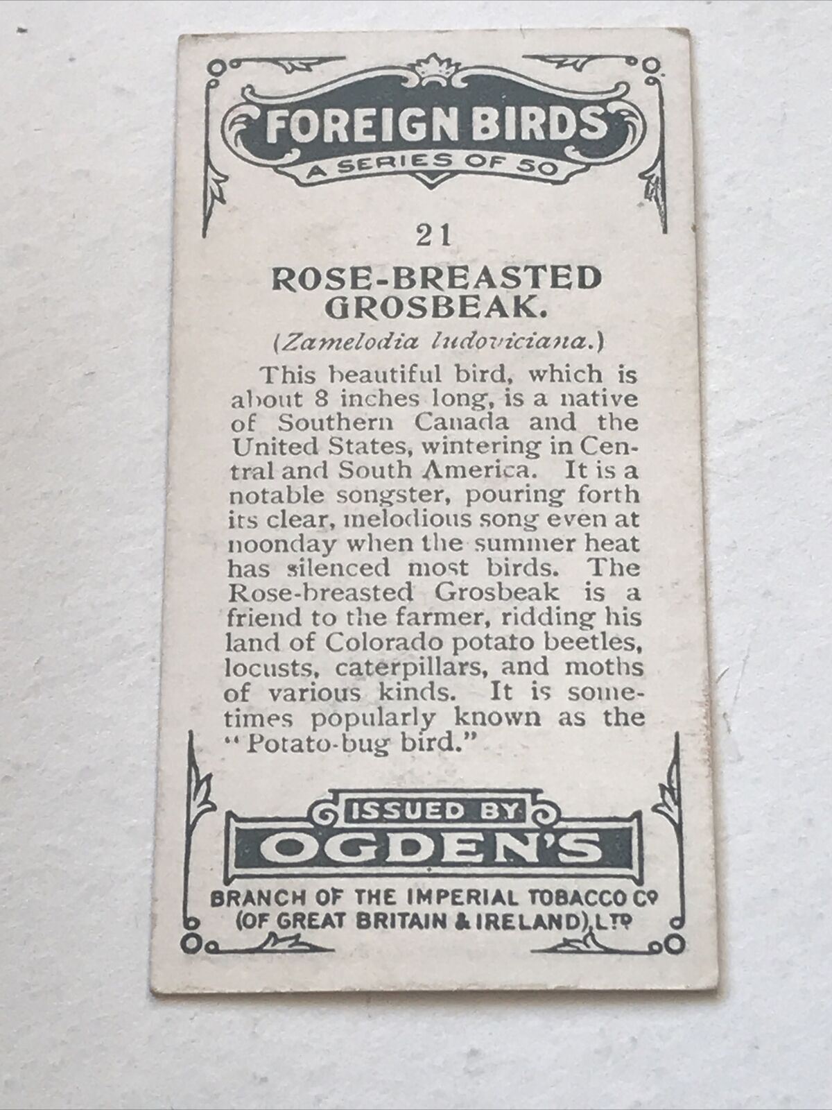 ROSE-BREASTED GROSBEAK Ogden’s Cigarette Card, FOREIGN BIRDS #21 Potato Bug Bird