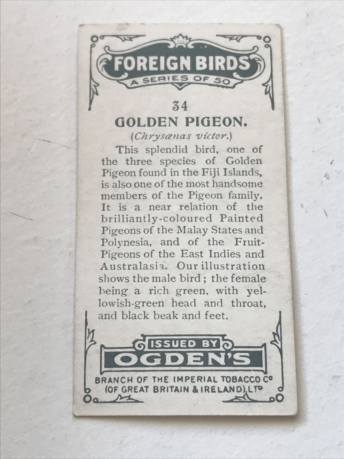 GOLDEN PIGEON Ogden’s Cigarette Card, FOREIGN BIRDS #34 Fiji Islands. Male Bird