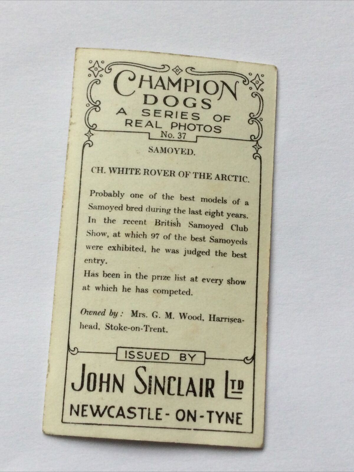 SAMOYED CH. WHITE ROVER OF  THE ARCTIC John Sinclair Cigarette Card Champion Dog