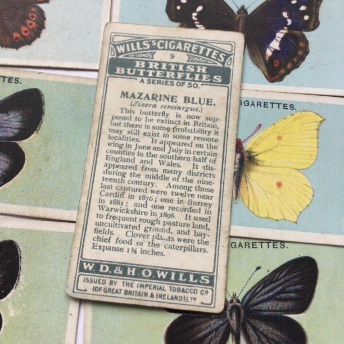 Wills Cigarette Cards BRITISH BUTTERFLIES 1927 sold individually TAKE YOUR PICK