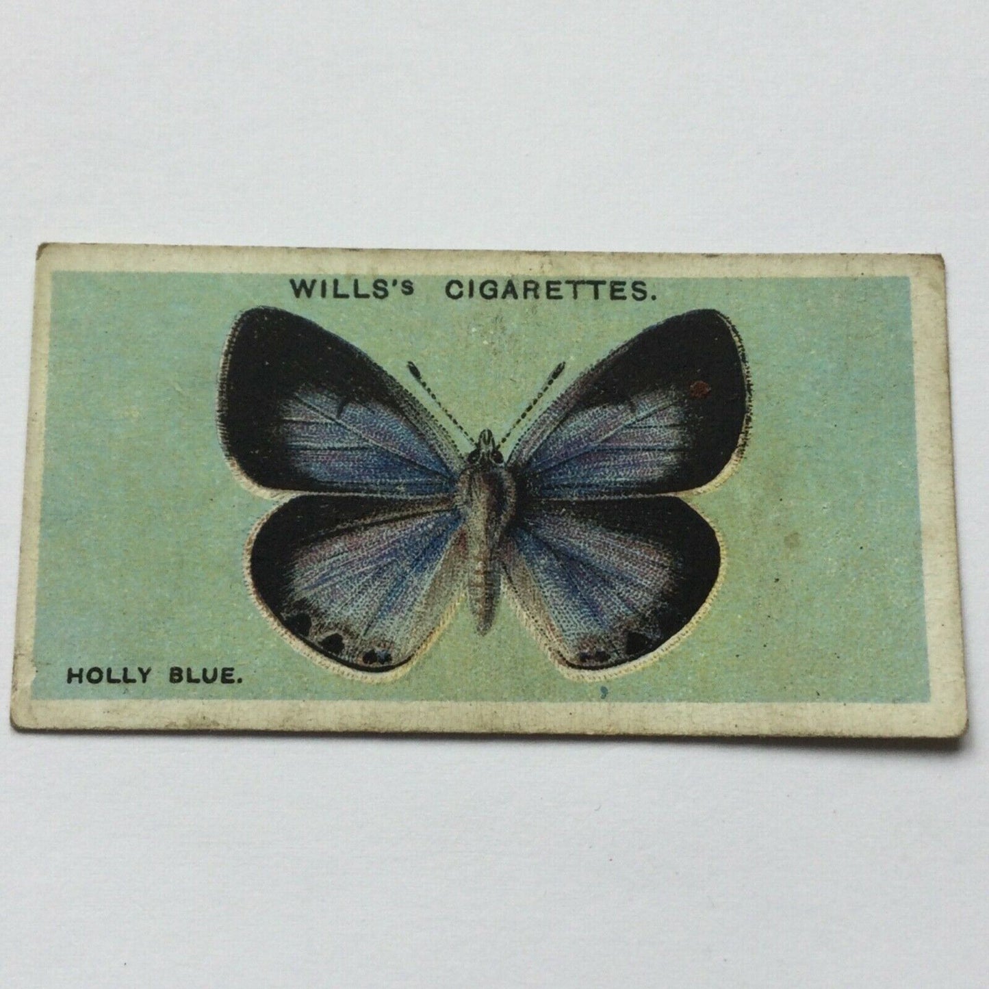 Wills Cigarette Cards BRITISH BUTTERFLIES 1927 sold individually TAKE YOUR PICK