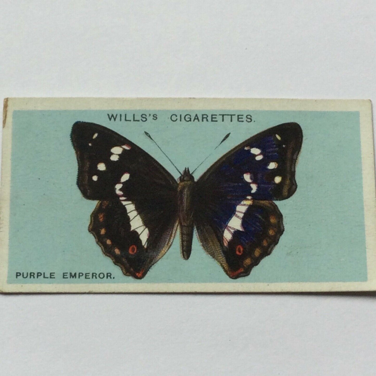 Wills Cigarette Cards BRITISH BUTTERFLIES 1927 sold individually TAKE YOUR PICK