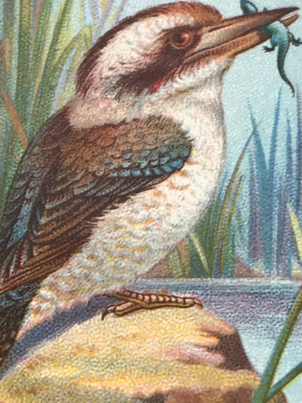 Wills Cigarette Cards DO YOU KNOW? Various series, sold individually