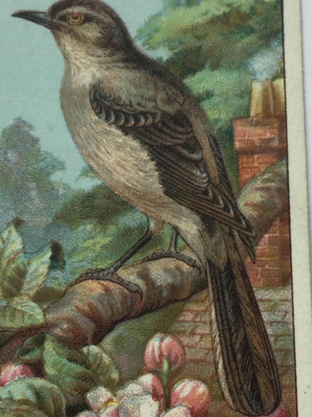Wills Cigarette Cards DO YOU KNOW? Various series, sold individually