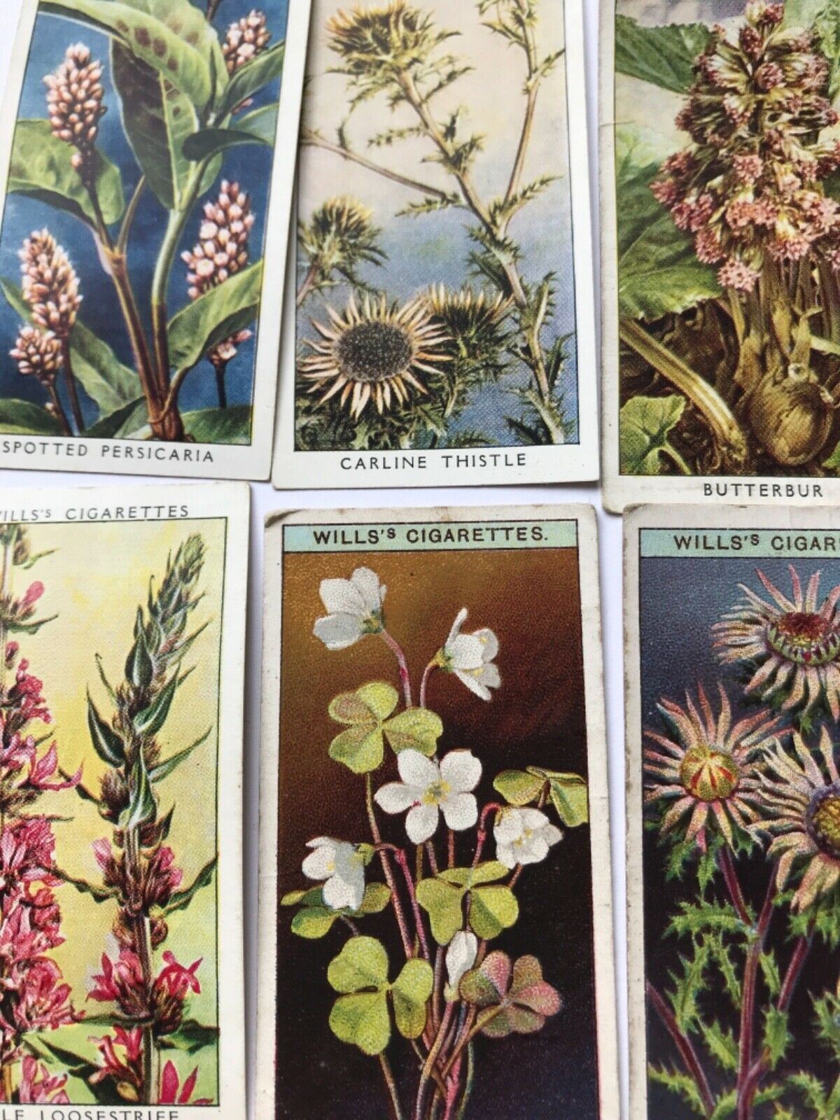 Wills Cigarette Cards WILD FLOWERS Various series, sold individually
