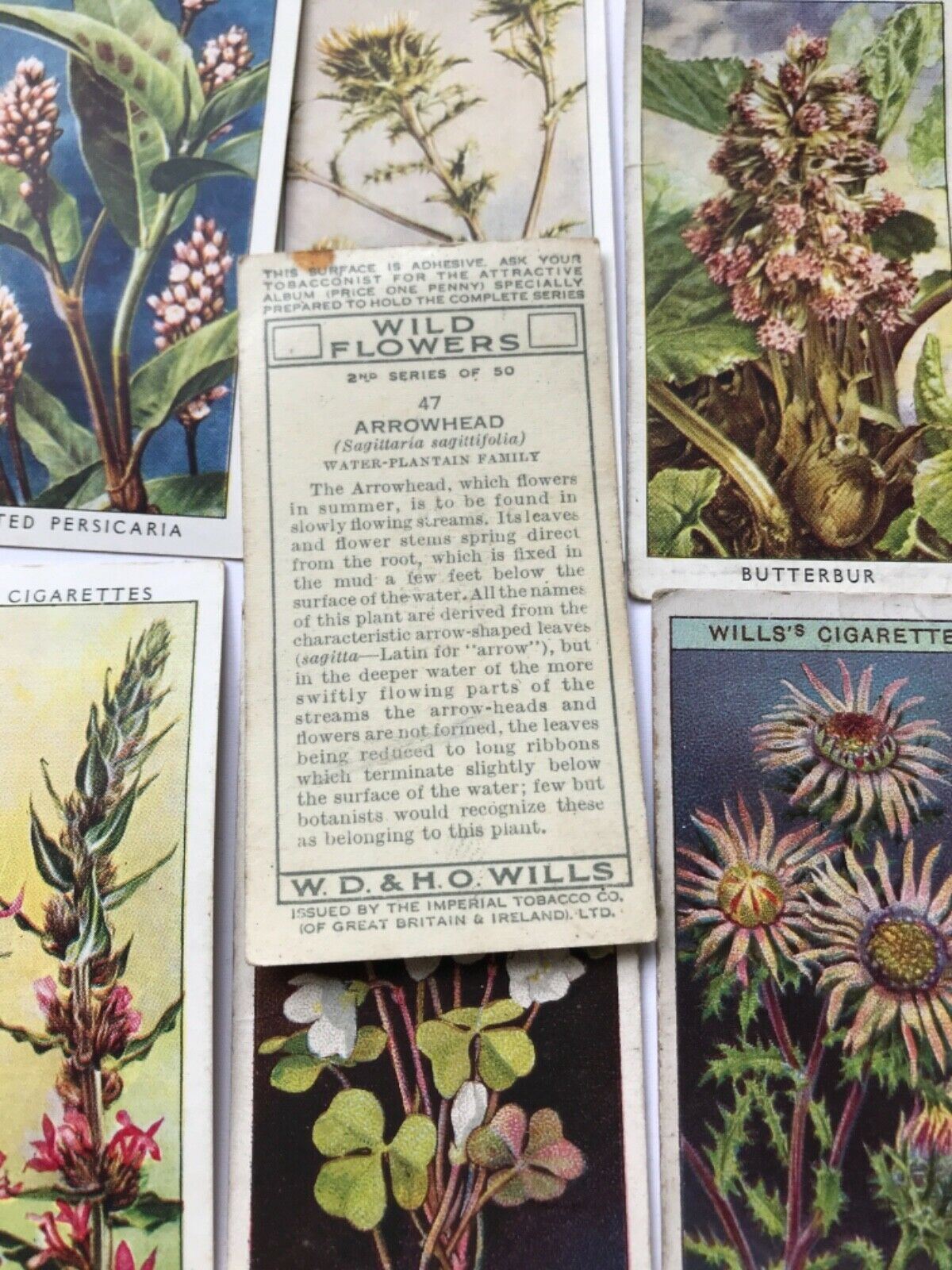 Wills Cigarette Cards WILD FLOWERS Various series, sold individually