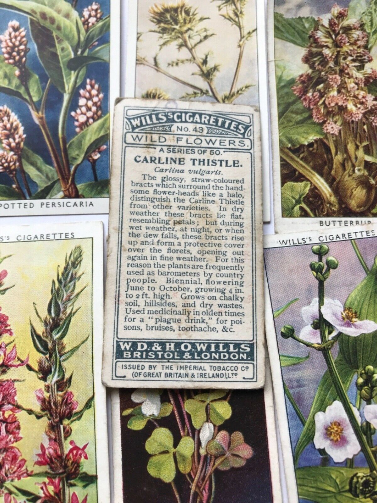 Wills Cigarette Cards WILD FLOWERS Various series, sold individually