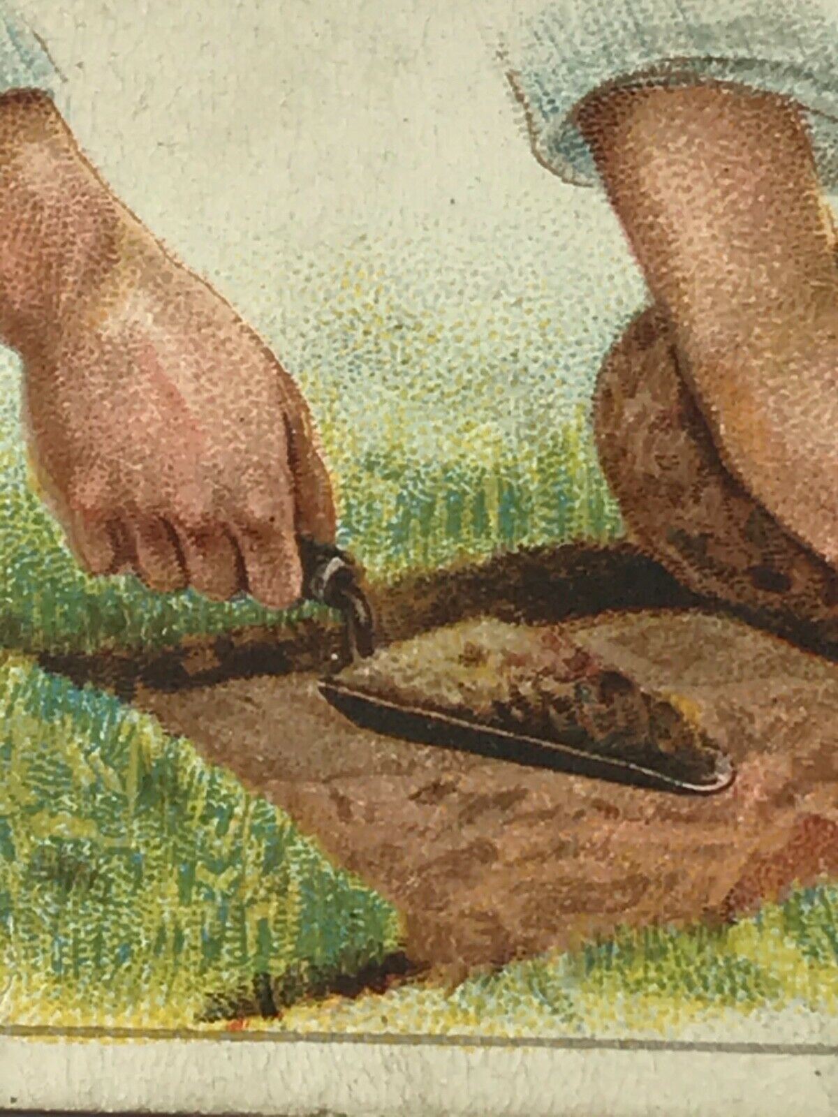 Wills Cigarette Cards GARDENING HINTS 1938. Sold individually so take your pick.