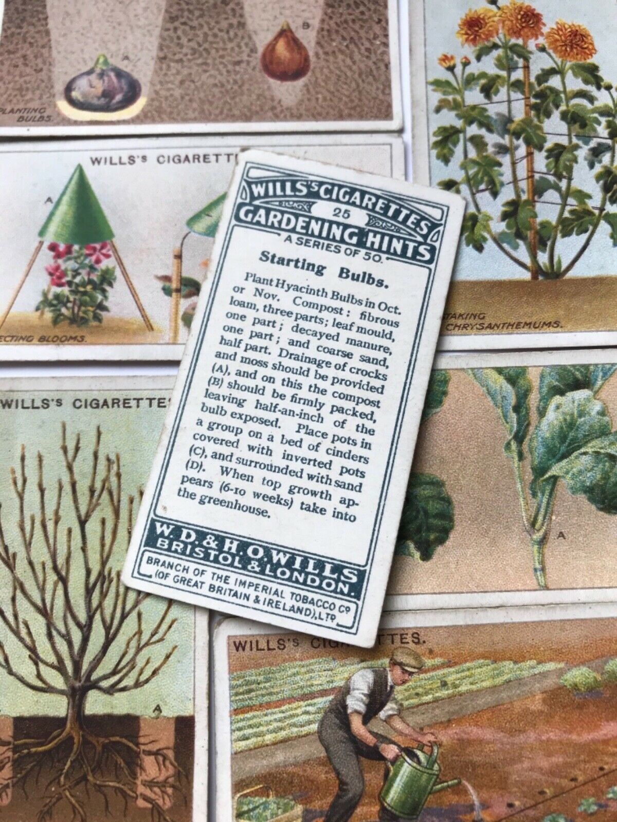 Wills Cigarette Cards GARDENING HINTS 1938. Sold individually so take your pick.