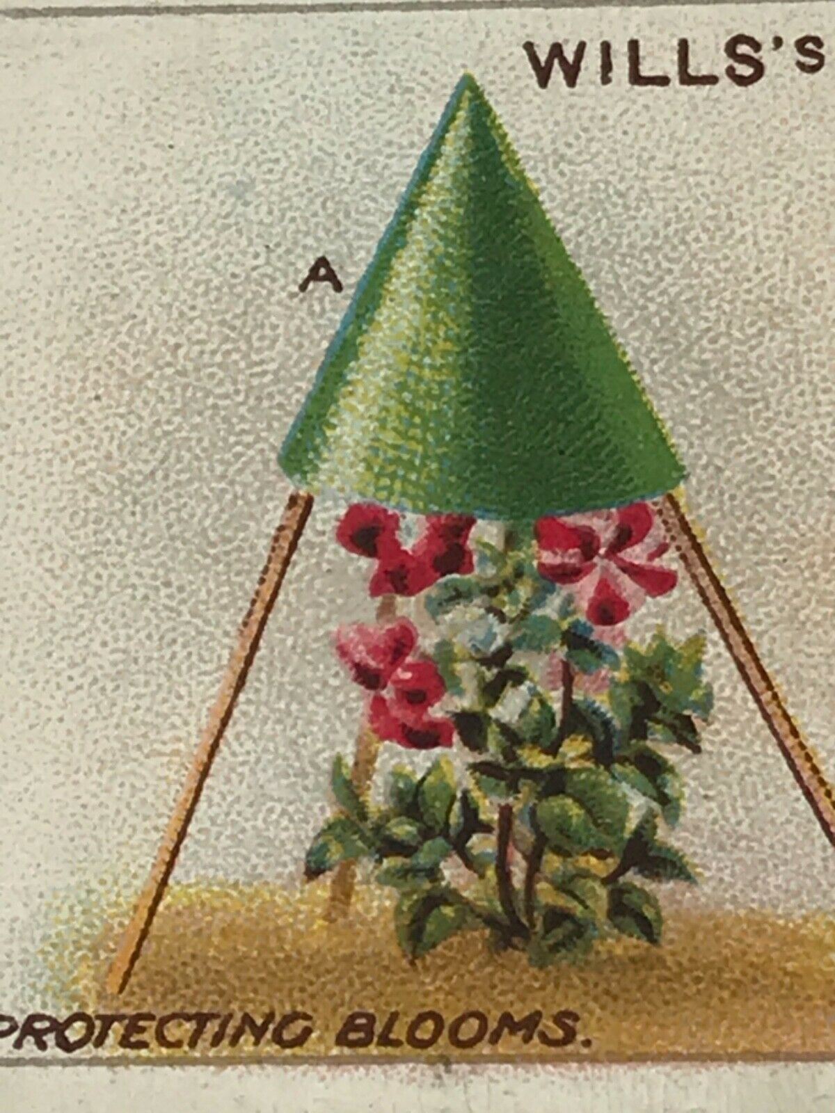 Wills Cigarette Cards GARDENING HINTS 1938. Sold individually so take your pick.