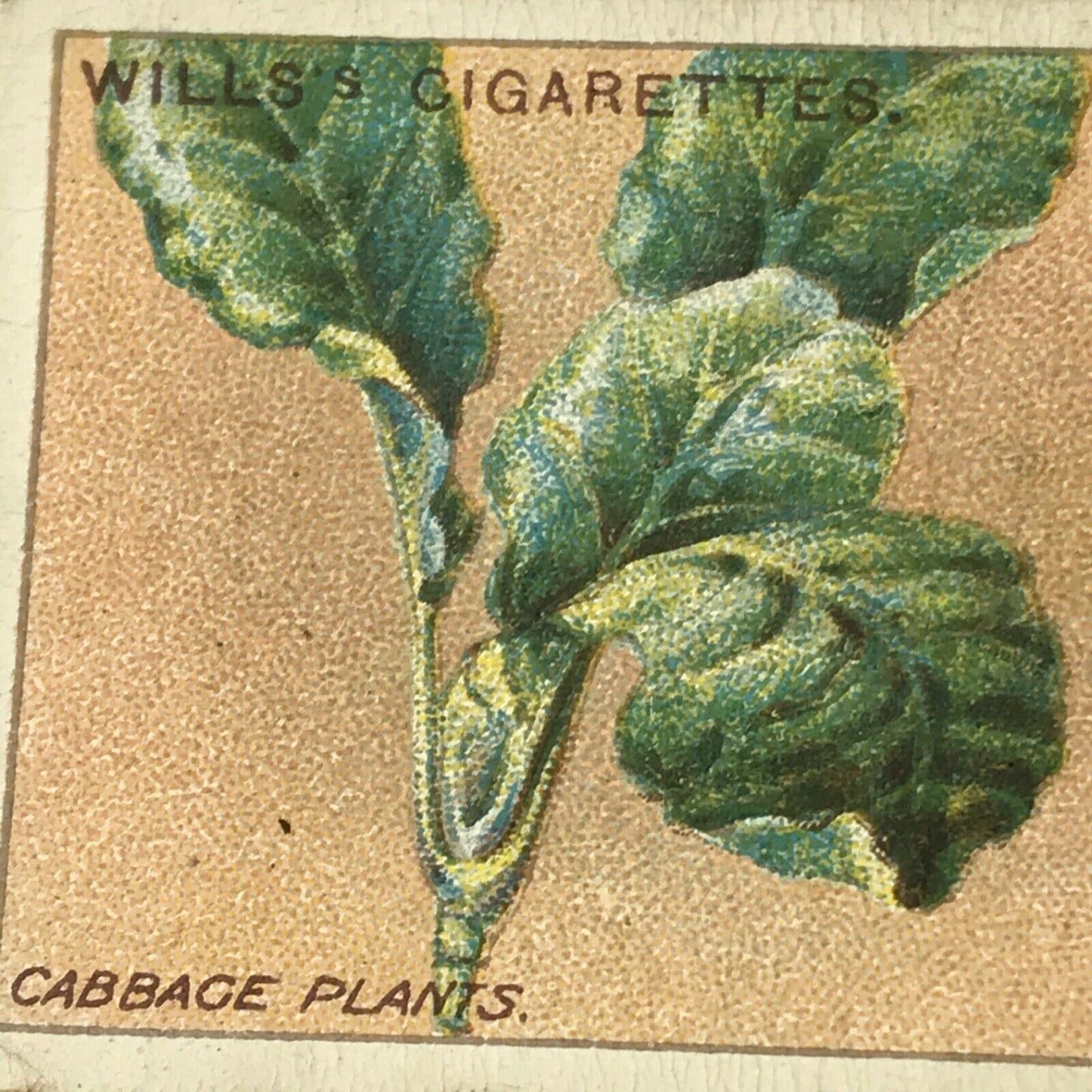 Wills Cigarette Cards GARDENING HINTS 1938. Sold individually so take your pick.
