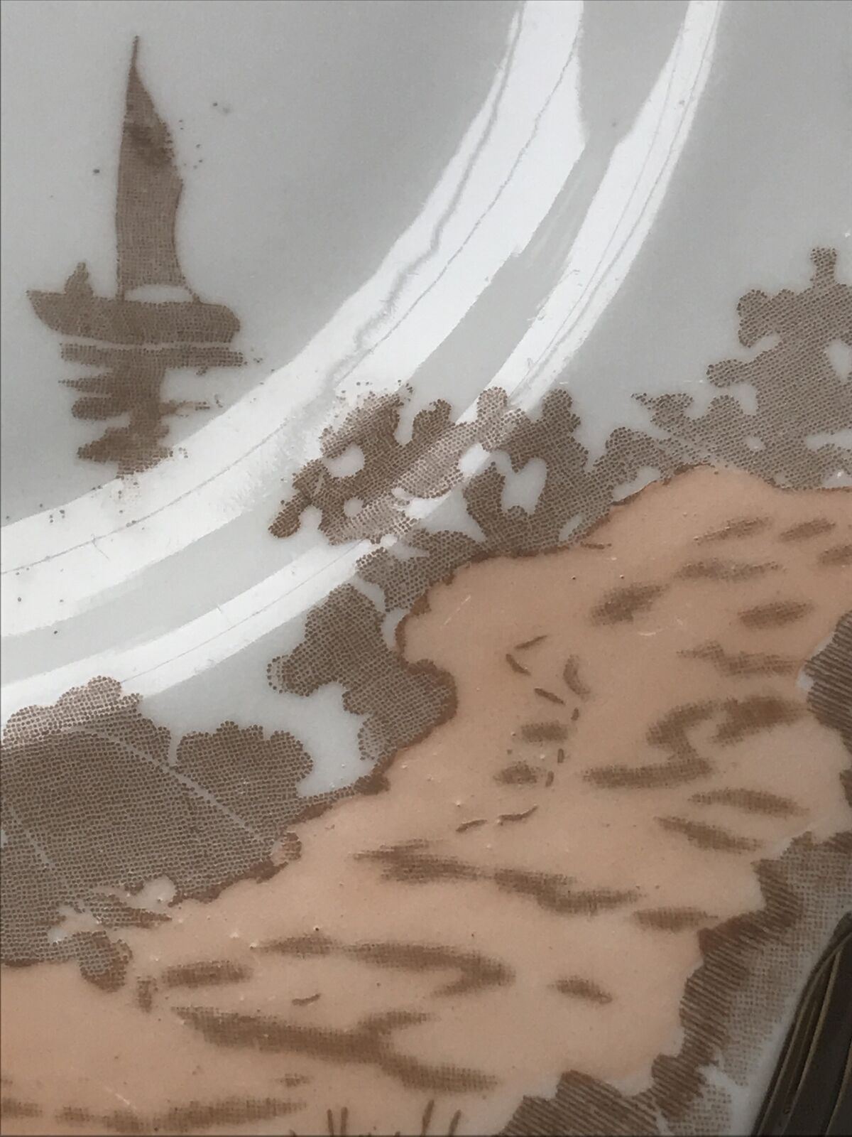 Set Of 6 GRAFTON ARCADIA Side Plates Art Deco 1930s. Tall Trees Blossom Woodland