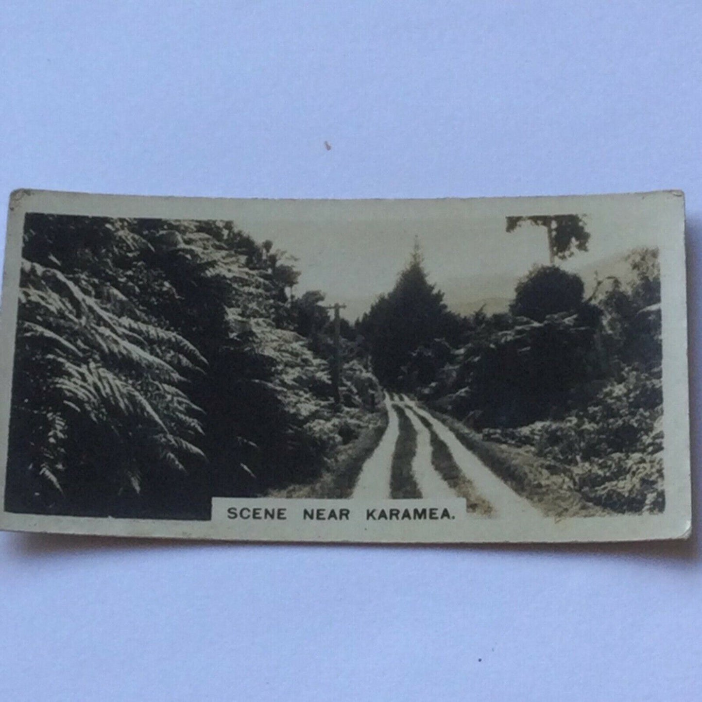 Westminster Cigarette Cards - NEW ZEALAND - Various series, sold individually, please pick from the drop-down menu