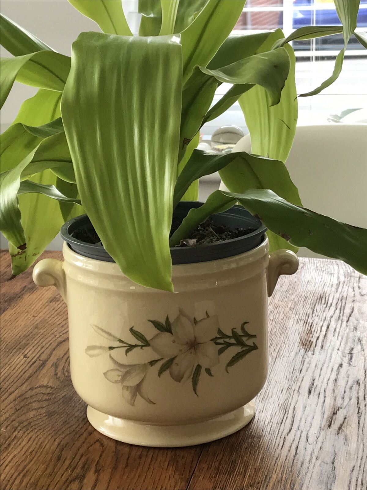Crown Devon Floral Lily Plant Pot Planter Inside. Cream. Handles. 14.5cm Diameter.
