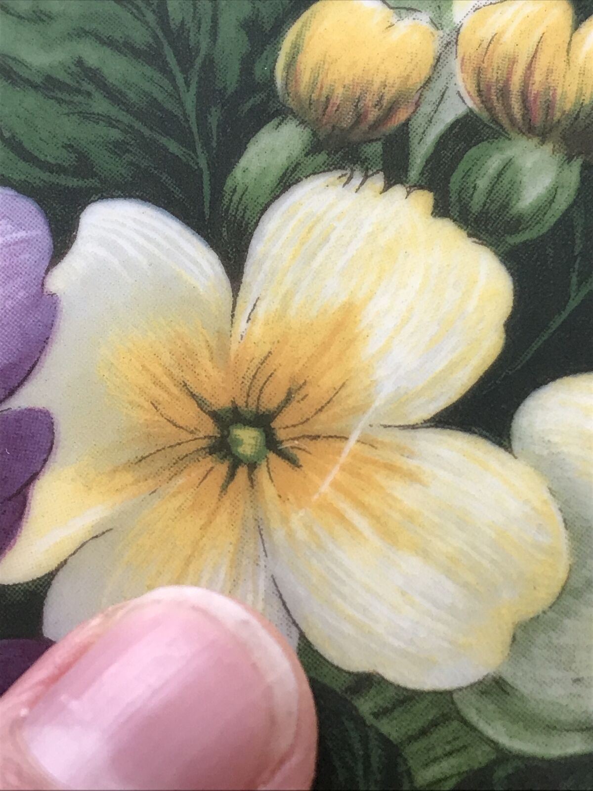 Large Bone China Floral Plate Spring Flowers Sovereign China Stoke On Trent Pretty. 27 cm diameter.