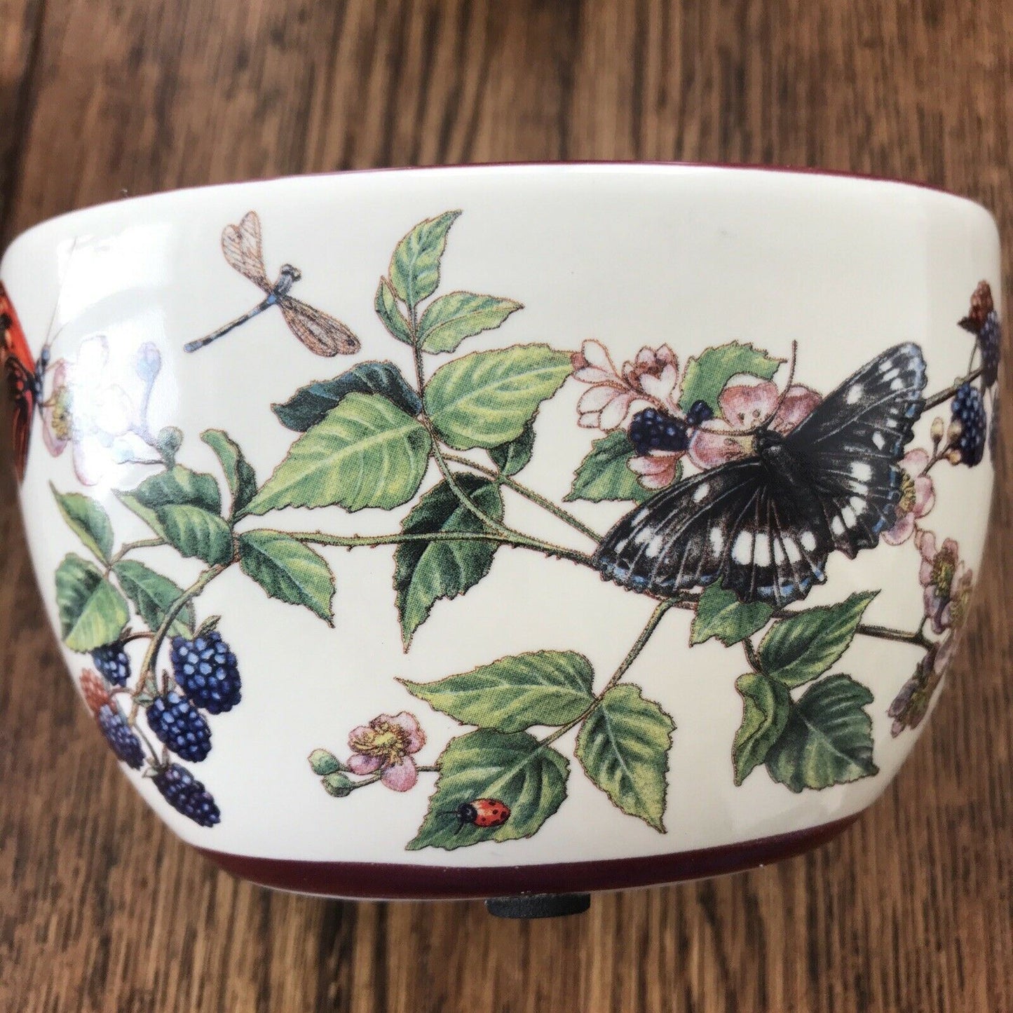Small Deep Oval Decorative Bowl Pot / Small Indoor Planter. Butterflies Blackberries Autumnal Floral