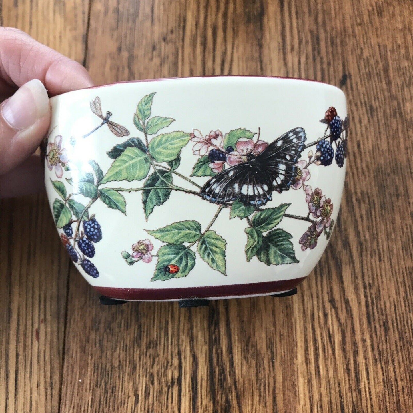 Small Deep Oval Decorative Bowl Pot / Small Indoor Planter. Butterflies Blackberries Autumnal Floral