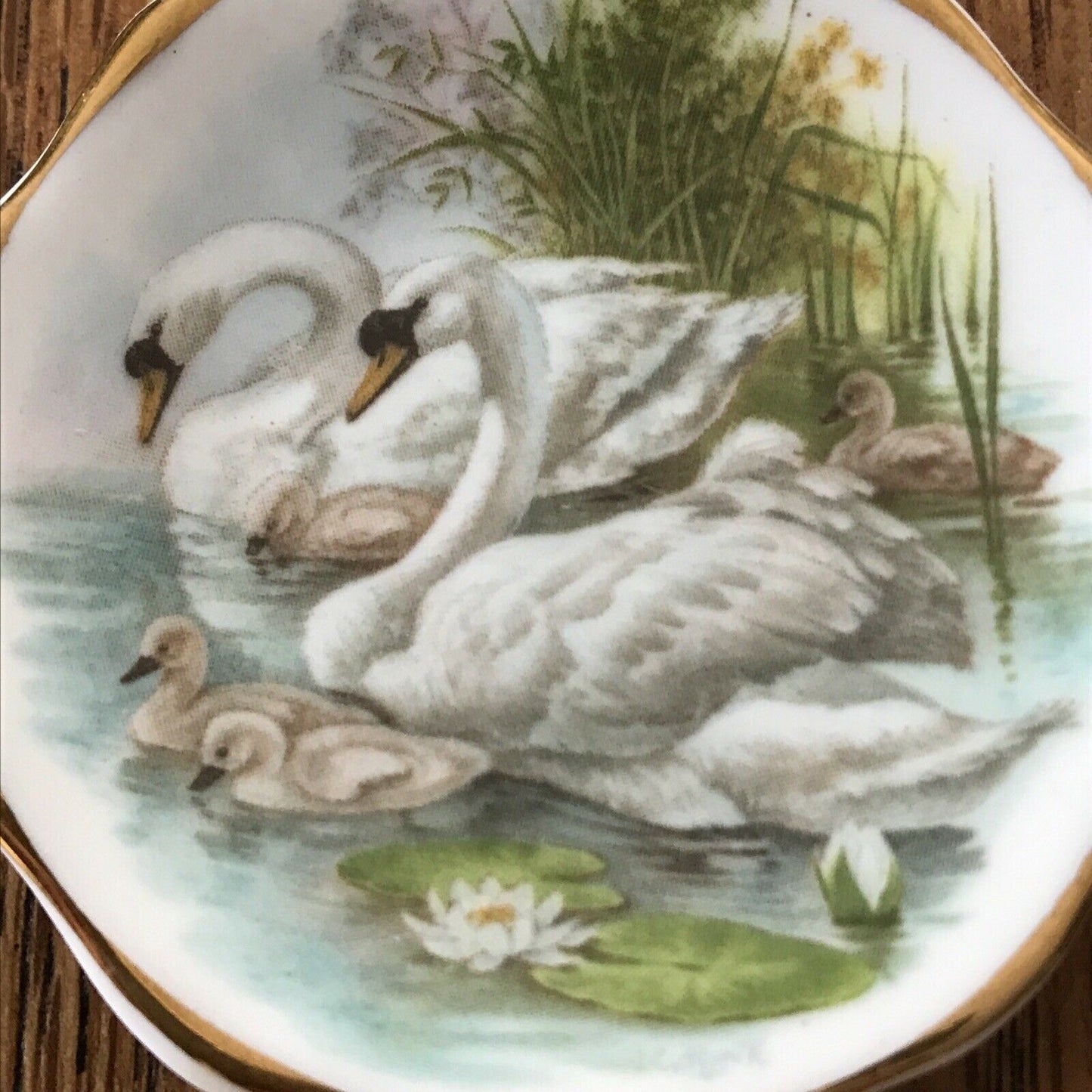 Vintage Miniature Plate / Pin Dish - Swans And Cygnets - Staffordshire Bone China - Gold Fluted Edge