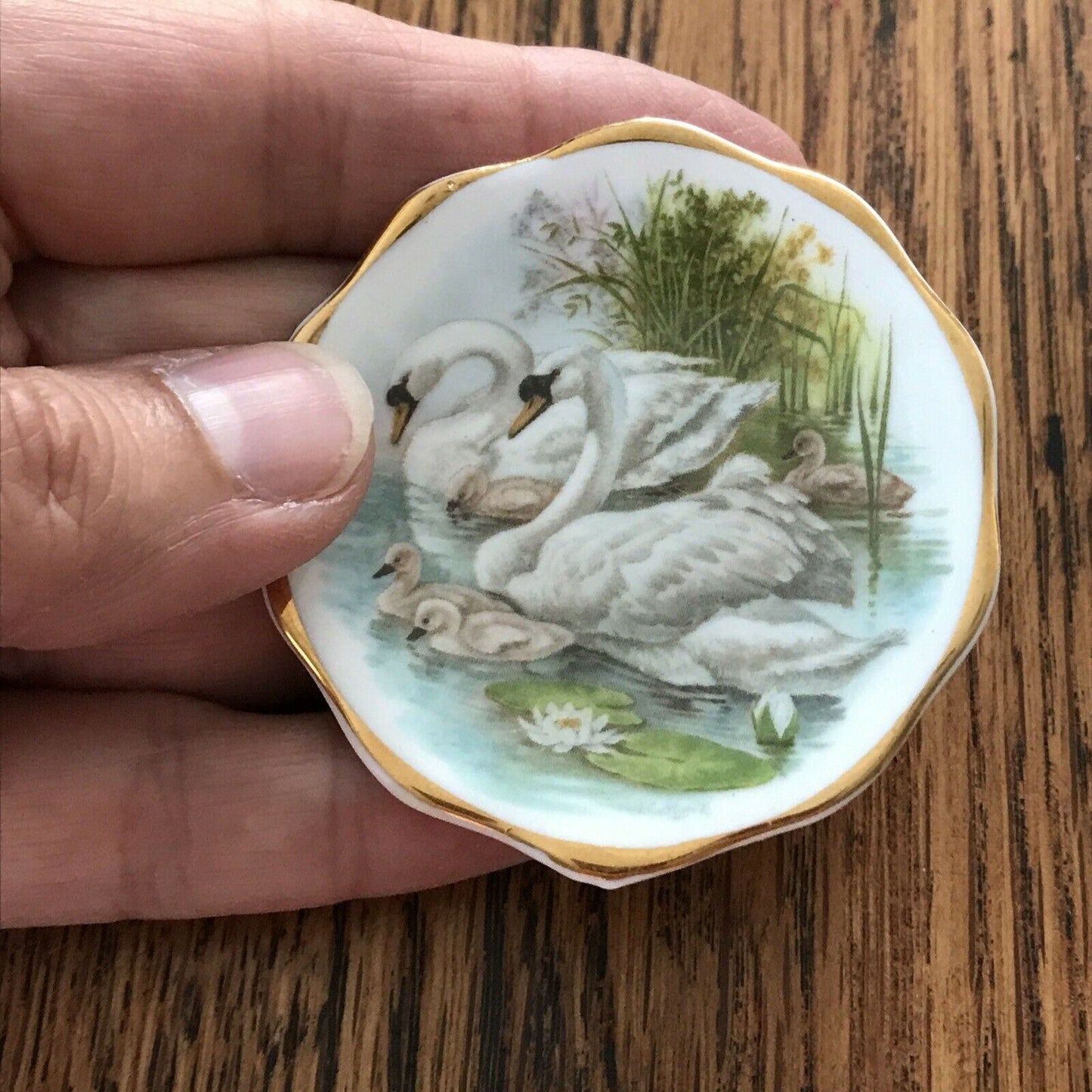 Vintage Miniature Plate / Pin Dish - Swans And Cygnets - Staffordshire Bone China - Gold Fluted Edge