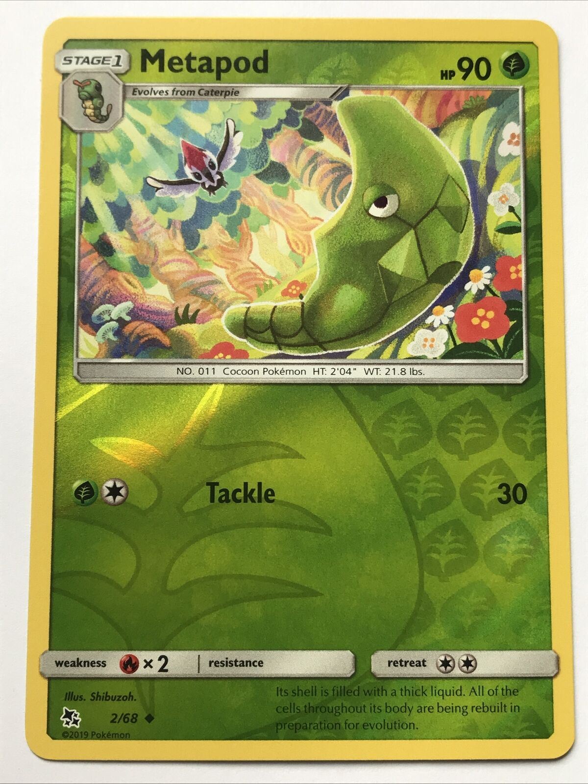 2019 Pokemon Card HOLO METAPOD Pack Fresh HP90 COCOON 2/68 No. 11 Stage 1 Evolv
