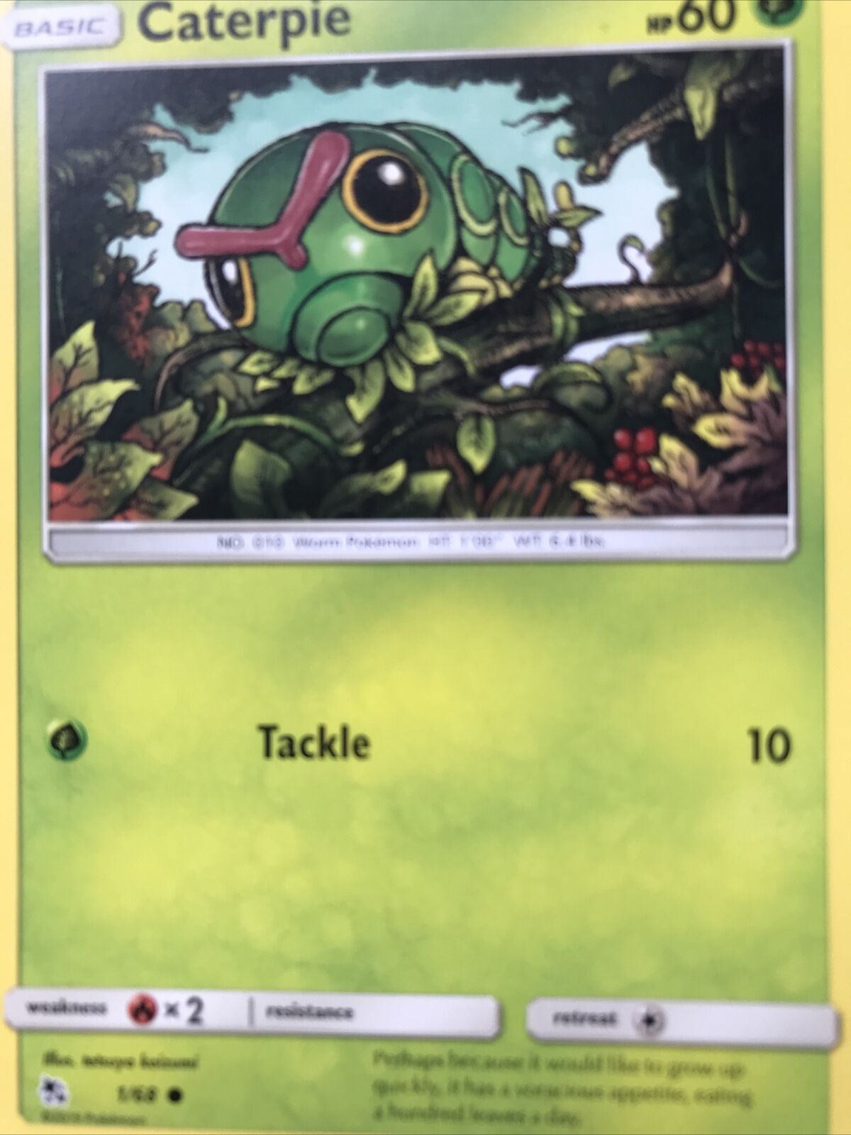 2019 Pokemon Card CATERPIE Pack Fresh HP60 Worm 1/68 No. 10 Basic