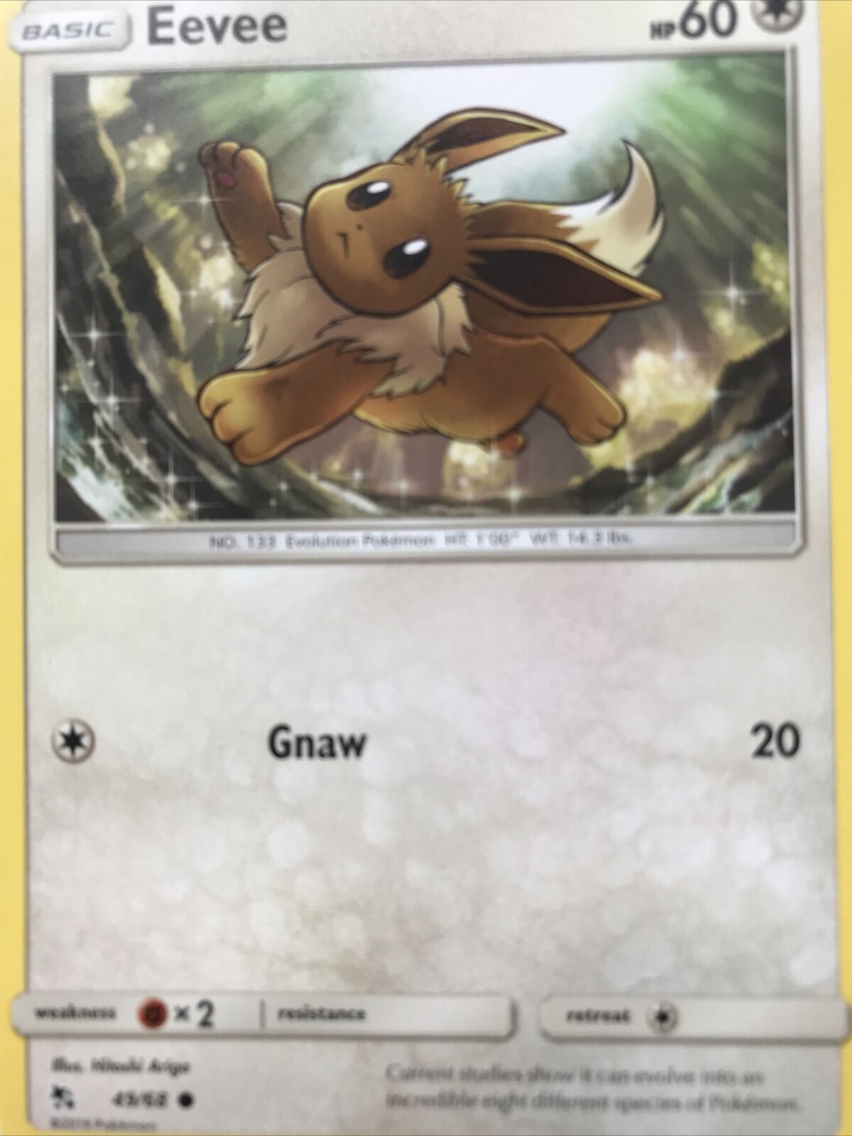 2019 Pokemon Card EEVEE Pack Fresh Hp60 Evolution 49/68 No. 133 Basic