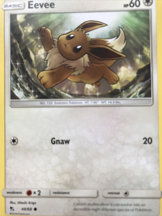 2019 Pokemon Card EEVEE Pack Fresh Hp60 Evolution 49/68 No. 133  Basic