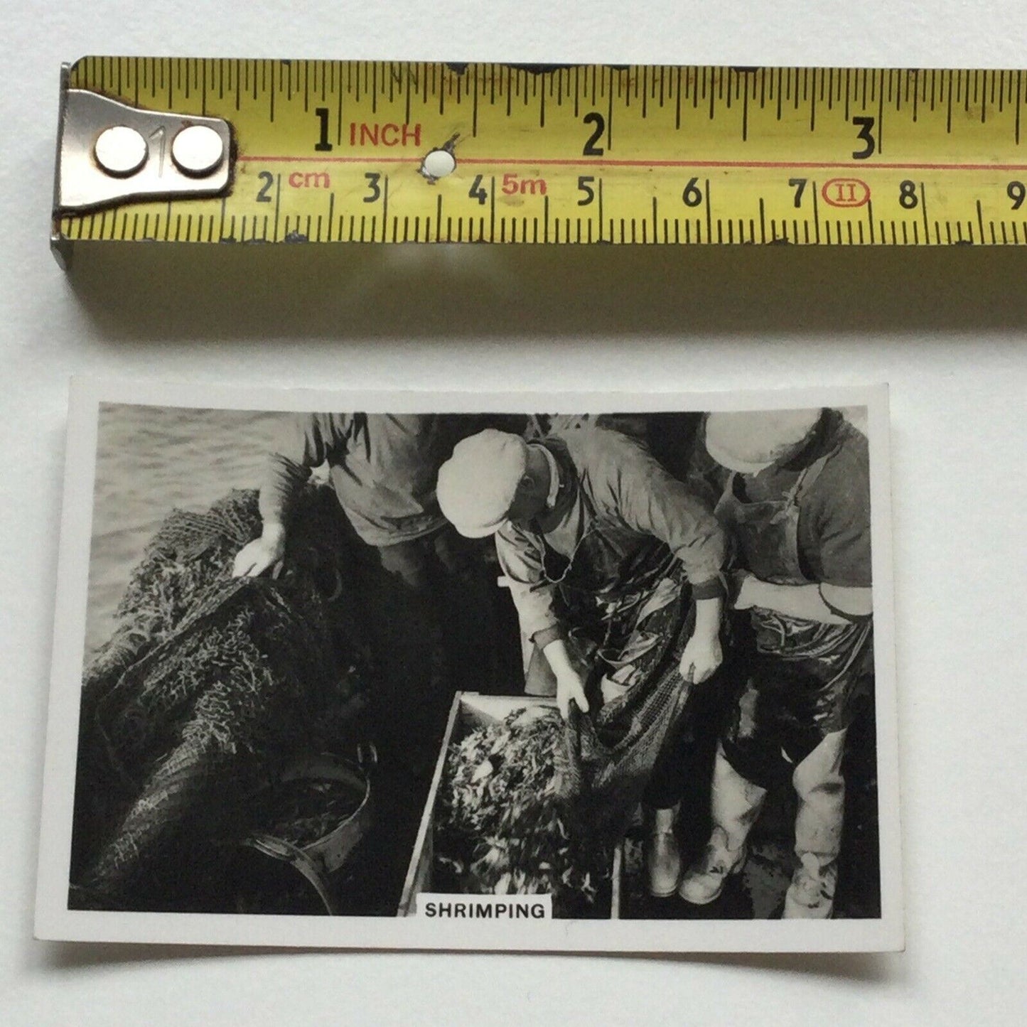Vintage Cigarette Card Senior Service 'Coastwise' - No. 38 Shrimping - fishermen photo