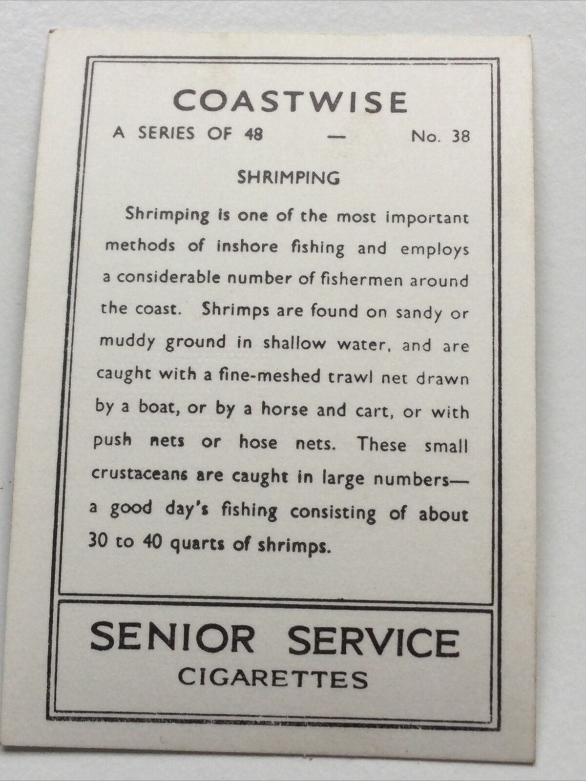 Vintage Cigarette Card Senior Service 'Coastwise' - No. 38 Shrimping - fishermen photo