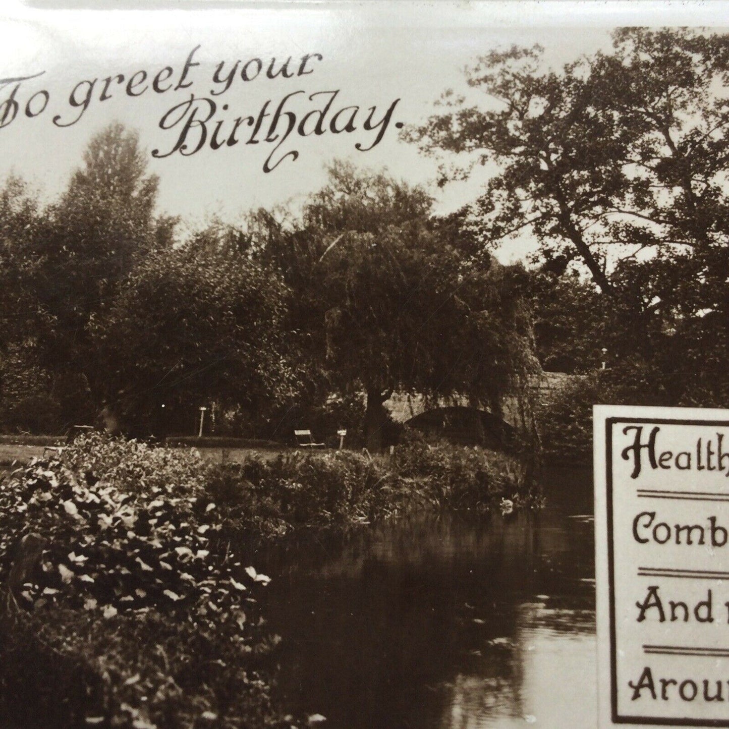 Vintage Birthday Greetings Postcard Real Photograph Riverside Trees Poem 'Health Peace and Prosperity'