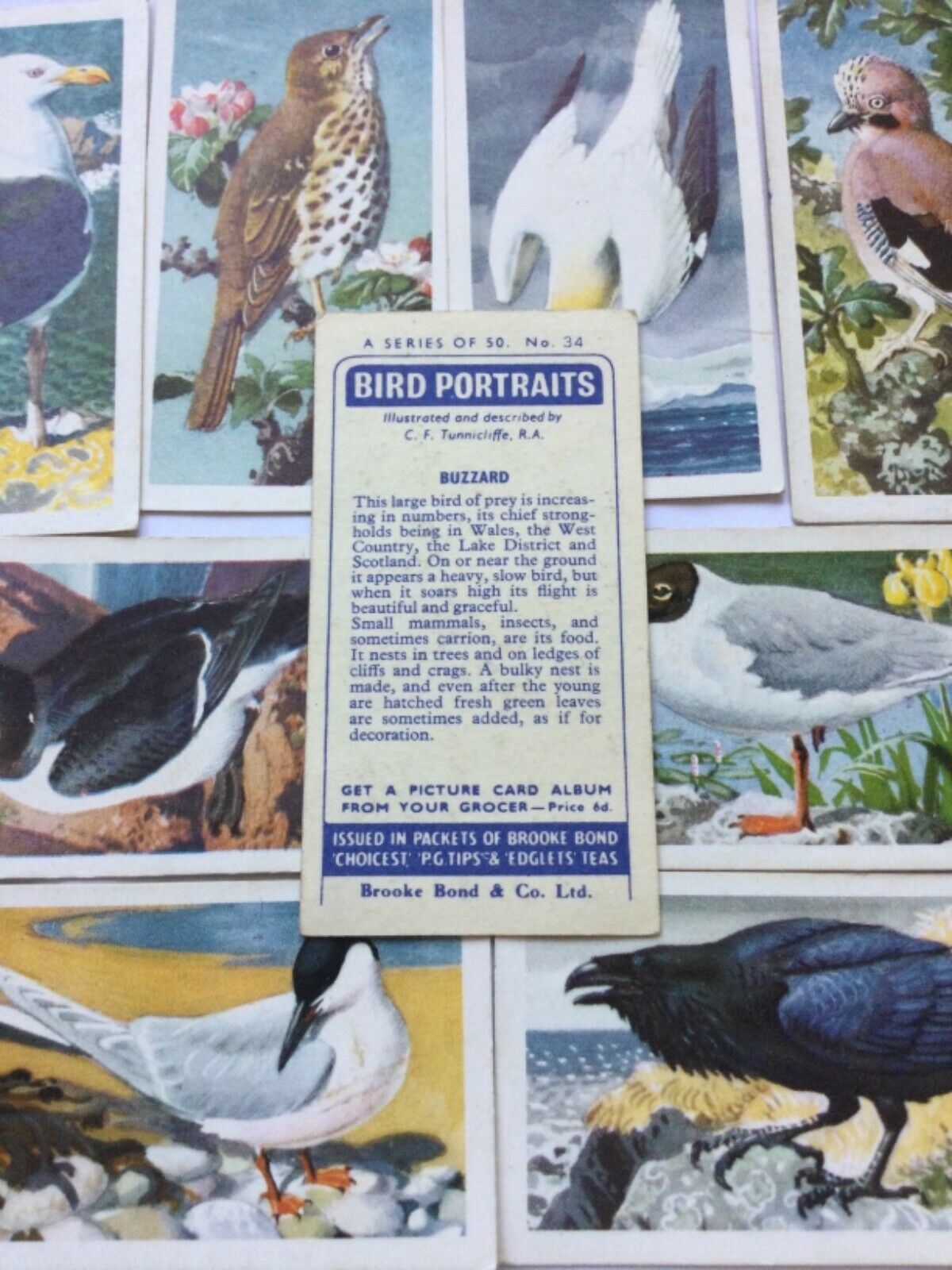 BIRD PORTRAITS Brooke Bond Tea Cards Sold Individually - take your pick