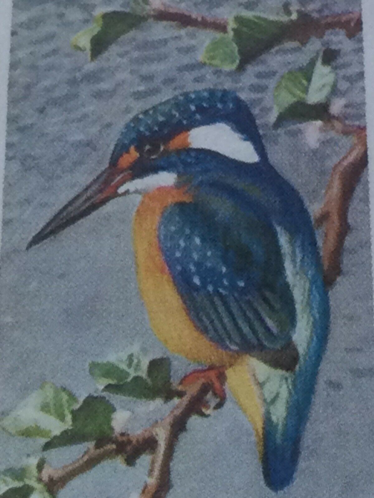 BIRD PORTRAITS Brooke Bond Tea Cards Sold Individually - take your pick